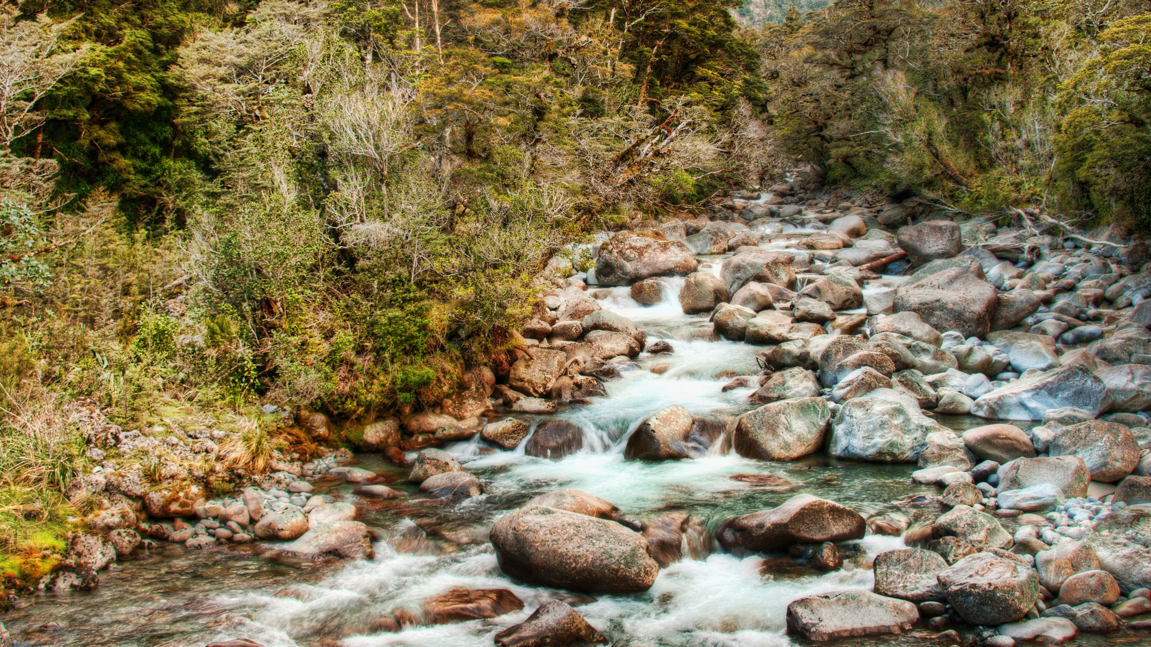 秋意正浓,小溪,森林,石头