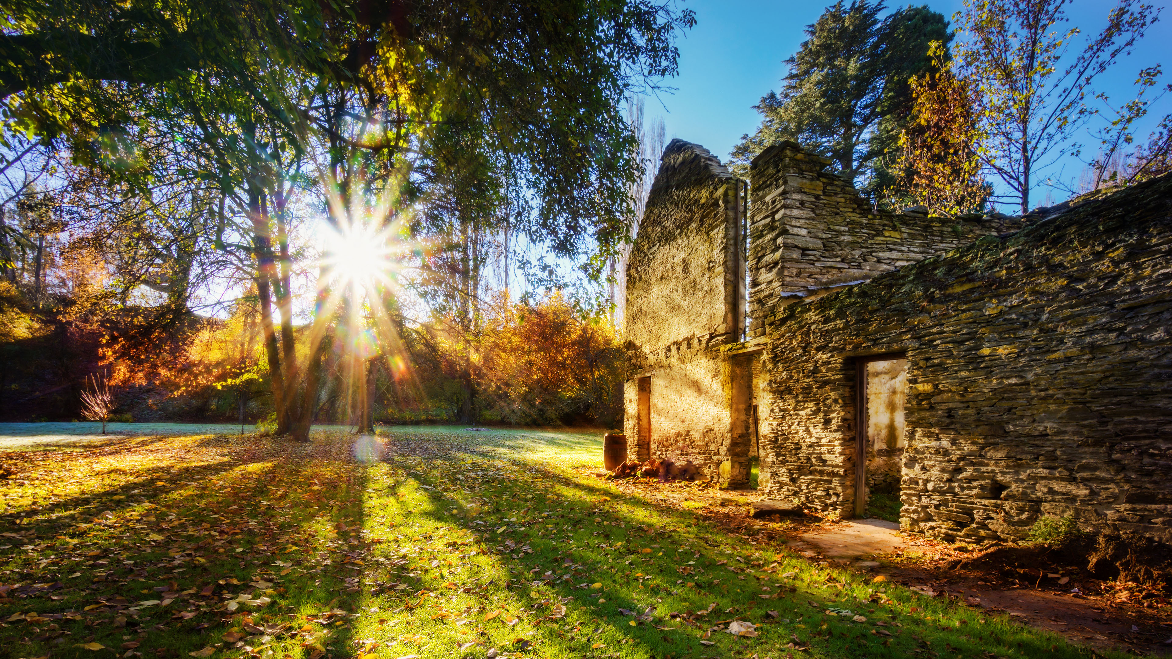 自然风光,阳光,废弃小屋