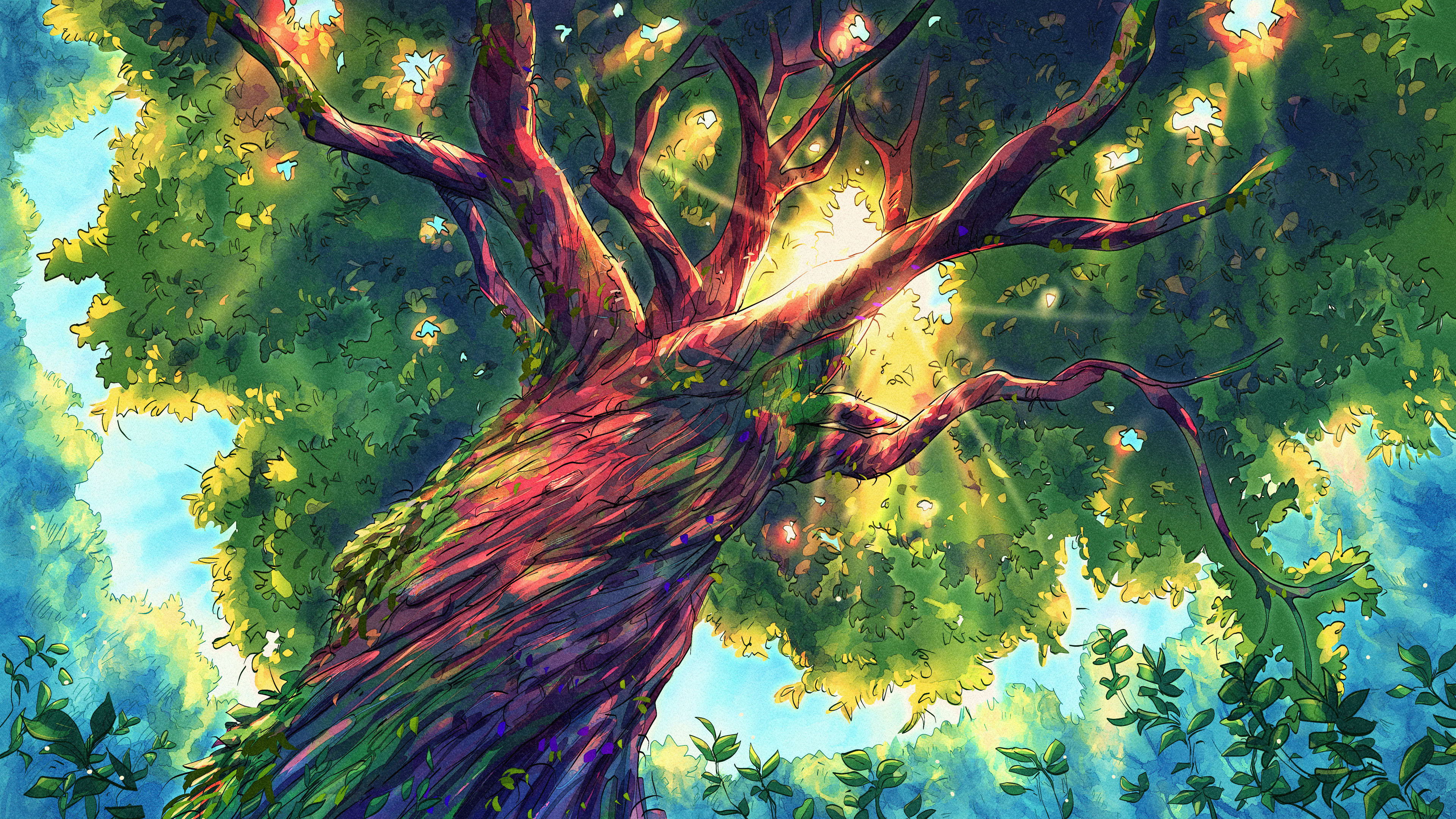 参天大树,太阳,树荫