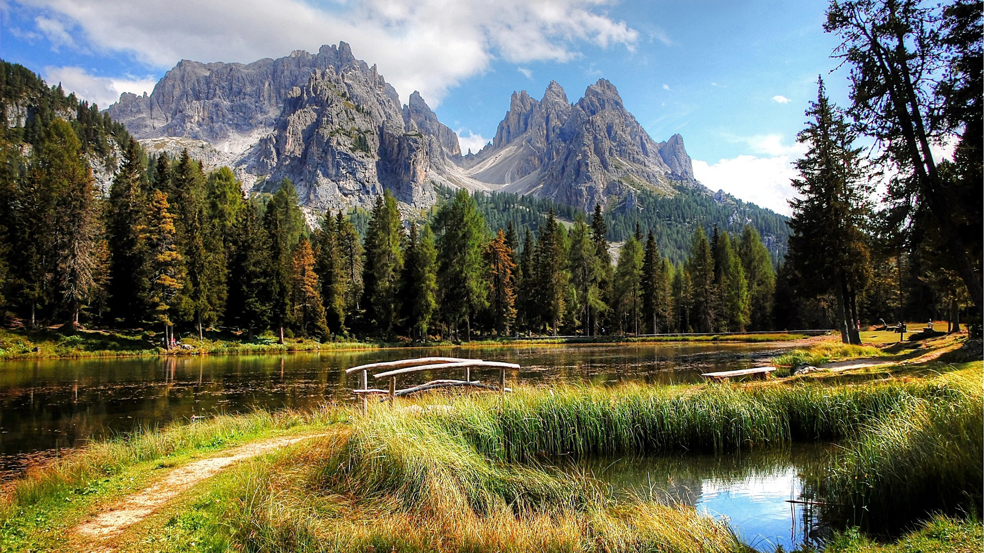自然风光,树林,深秋,山峰