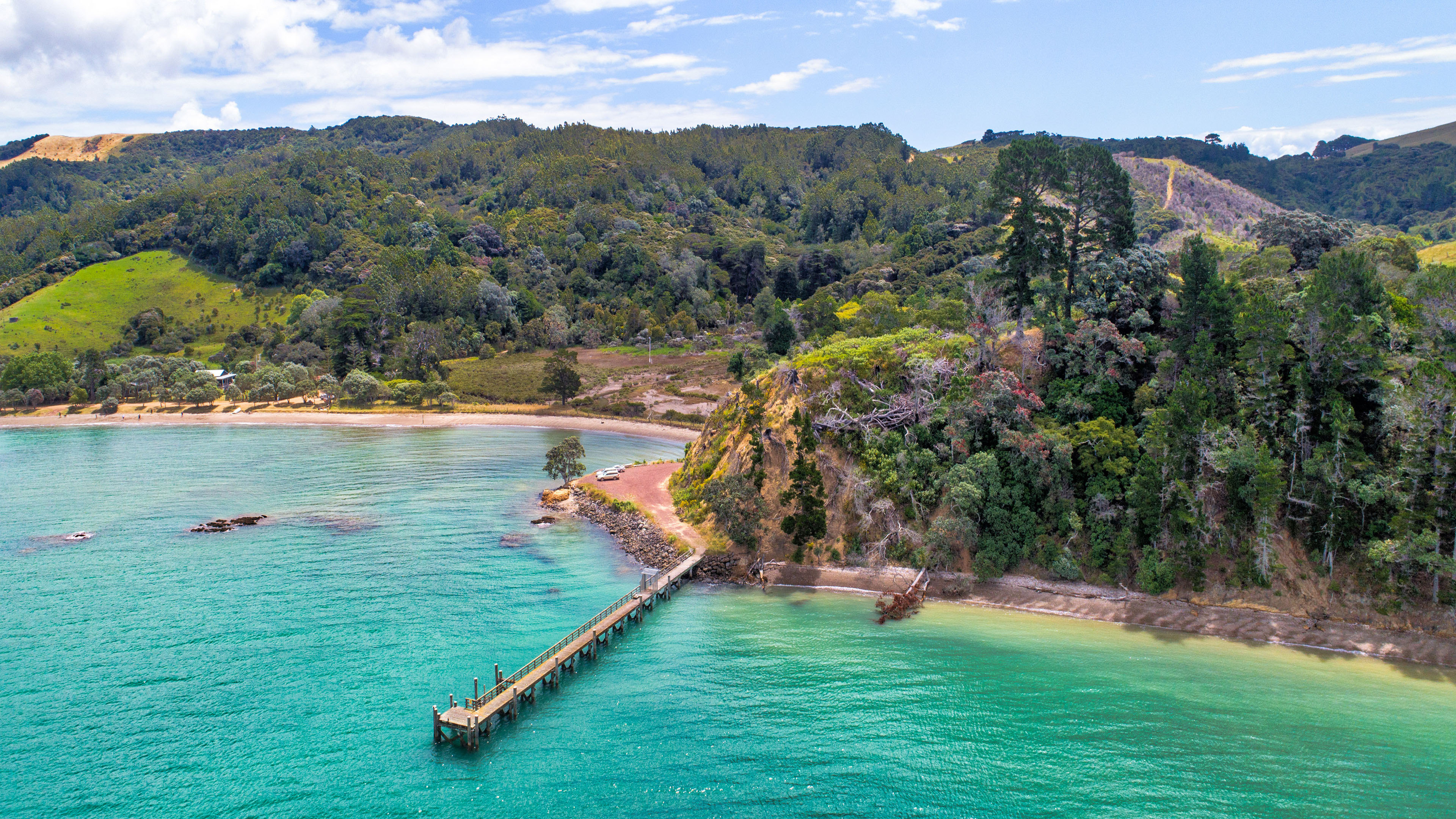 海洋天堂,码头,树林,湖水