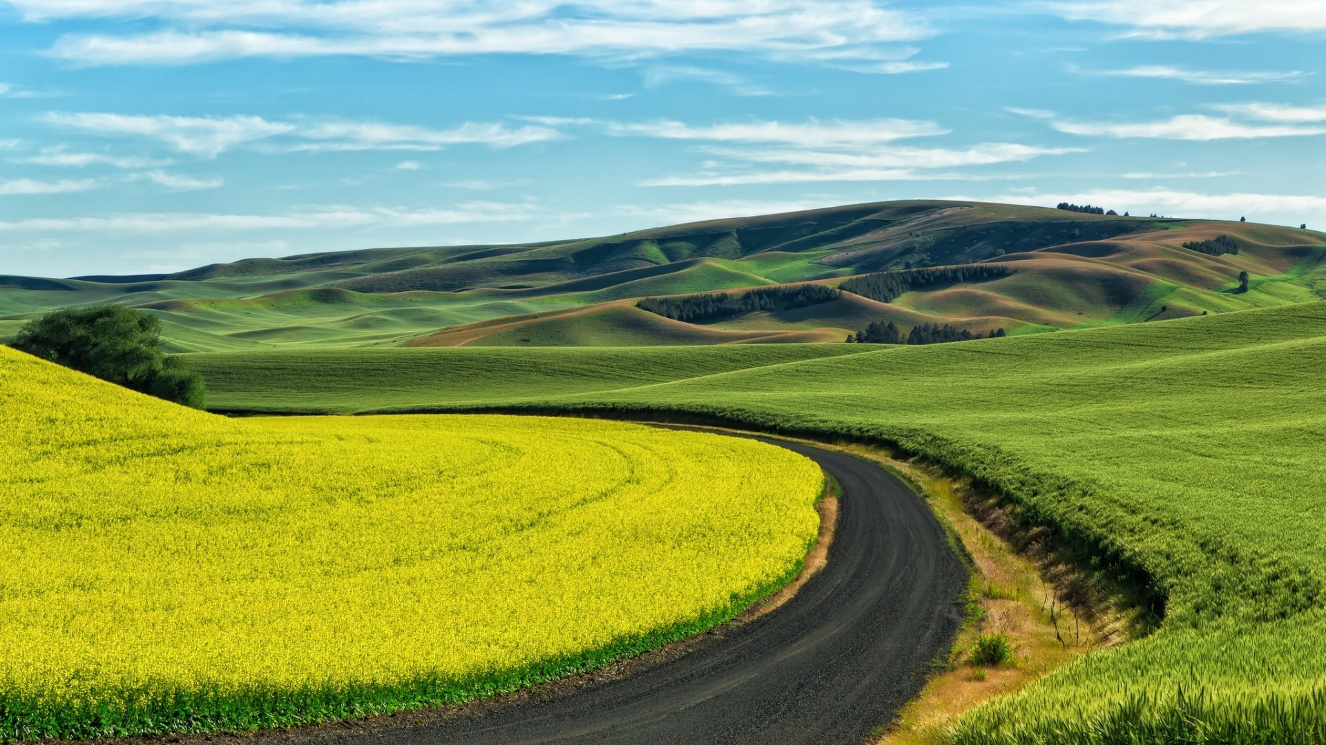 公路,田野,草原,蓝天