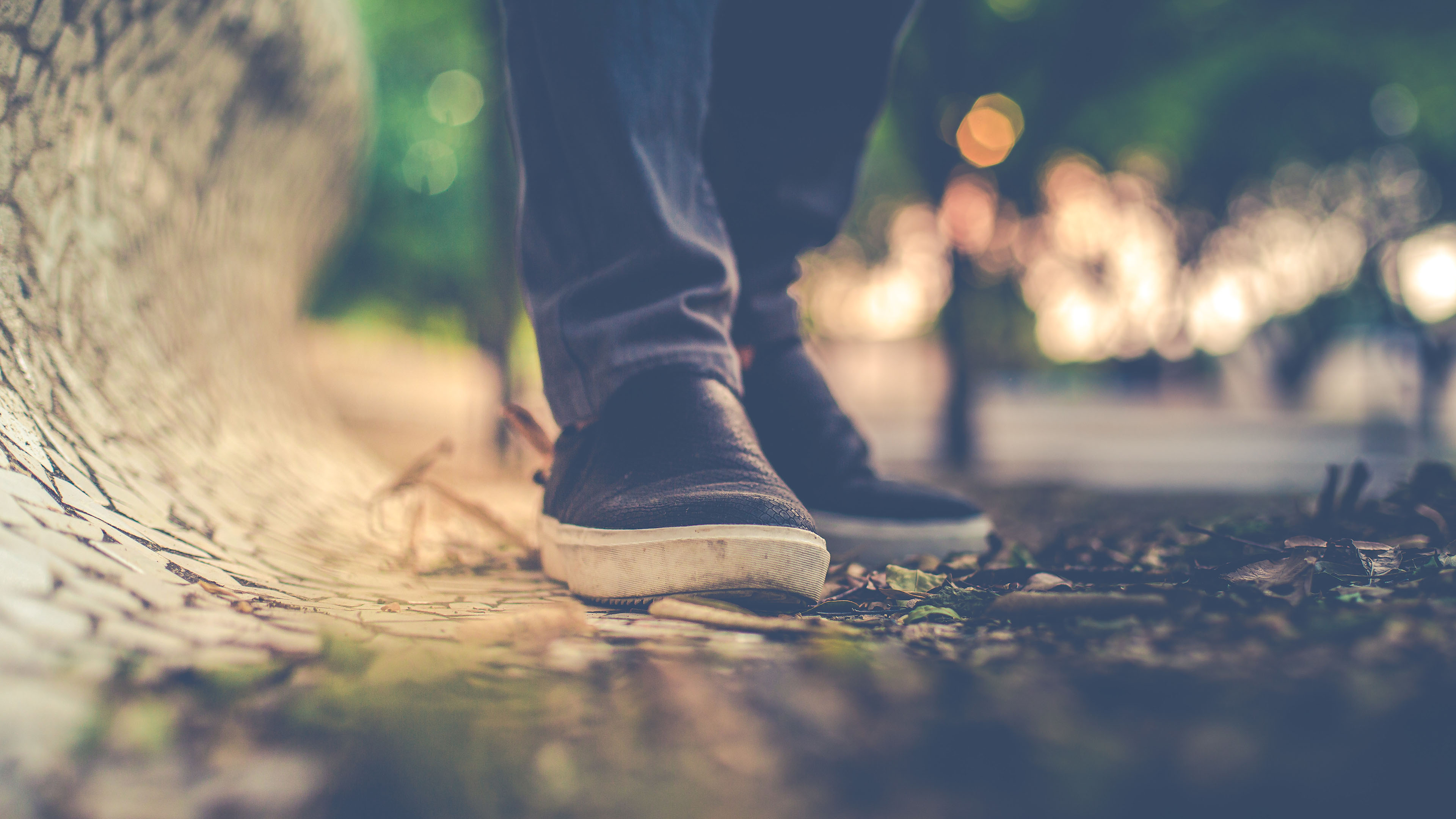 静物写真,脚,板鞋,草地