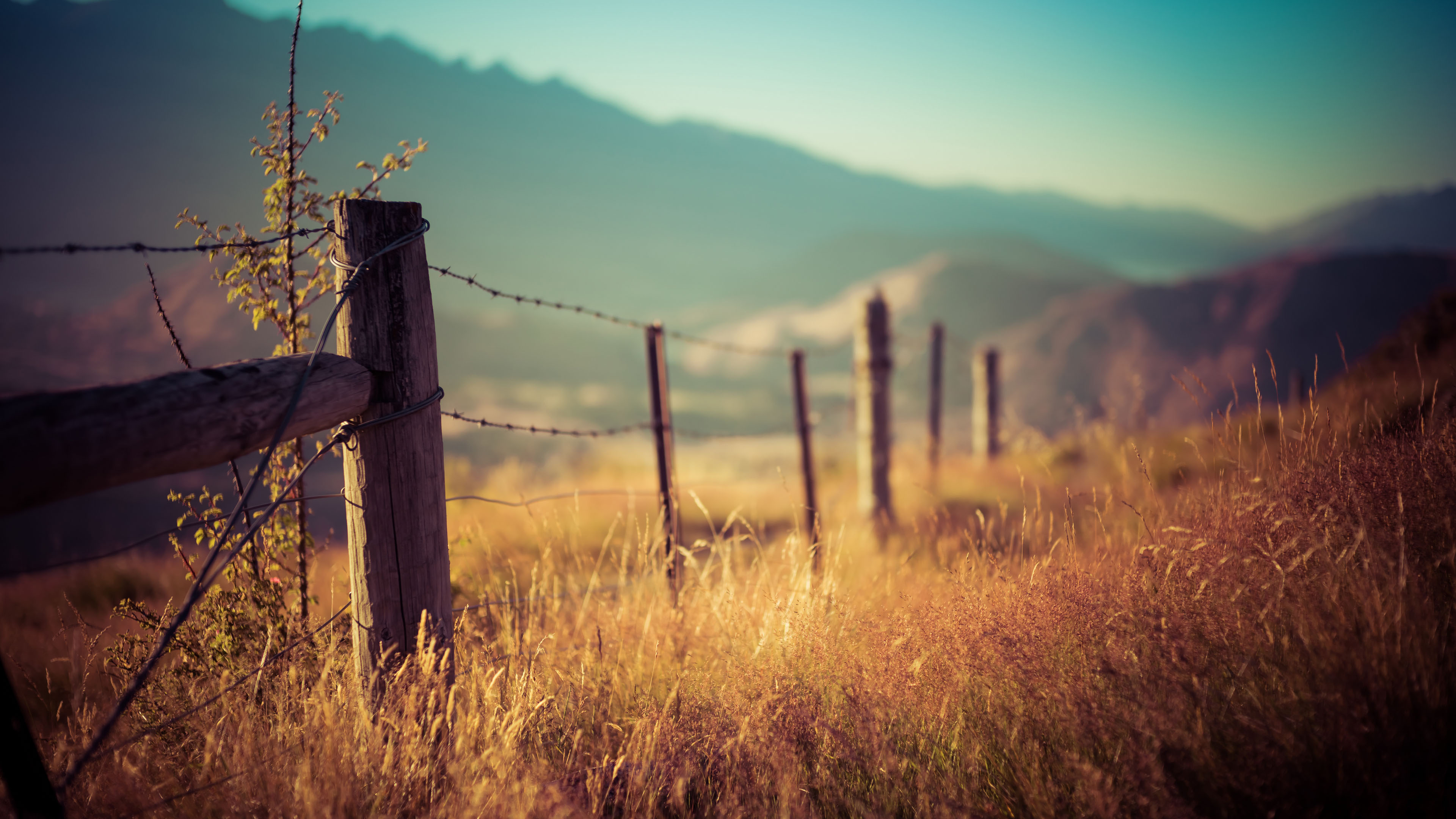 栅栏,庄园,农场