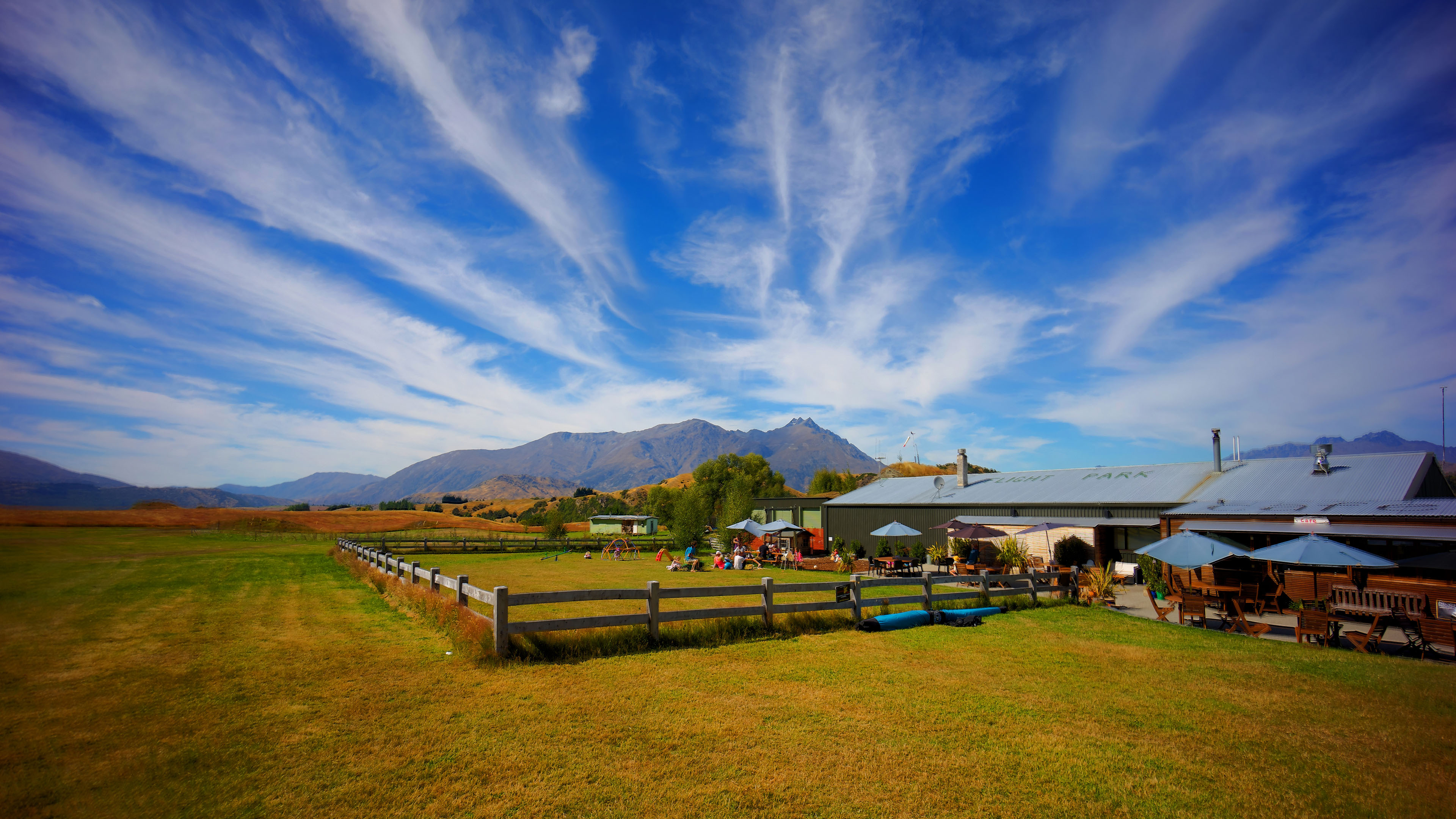 新西兰,草原,蓝天,牧场