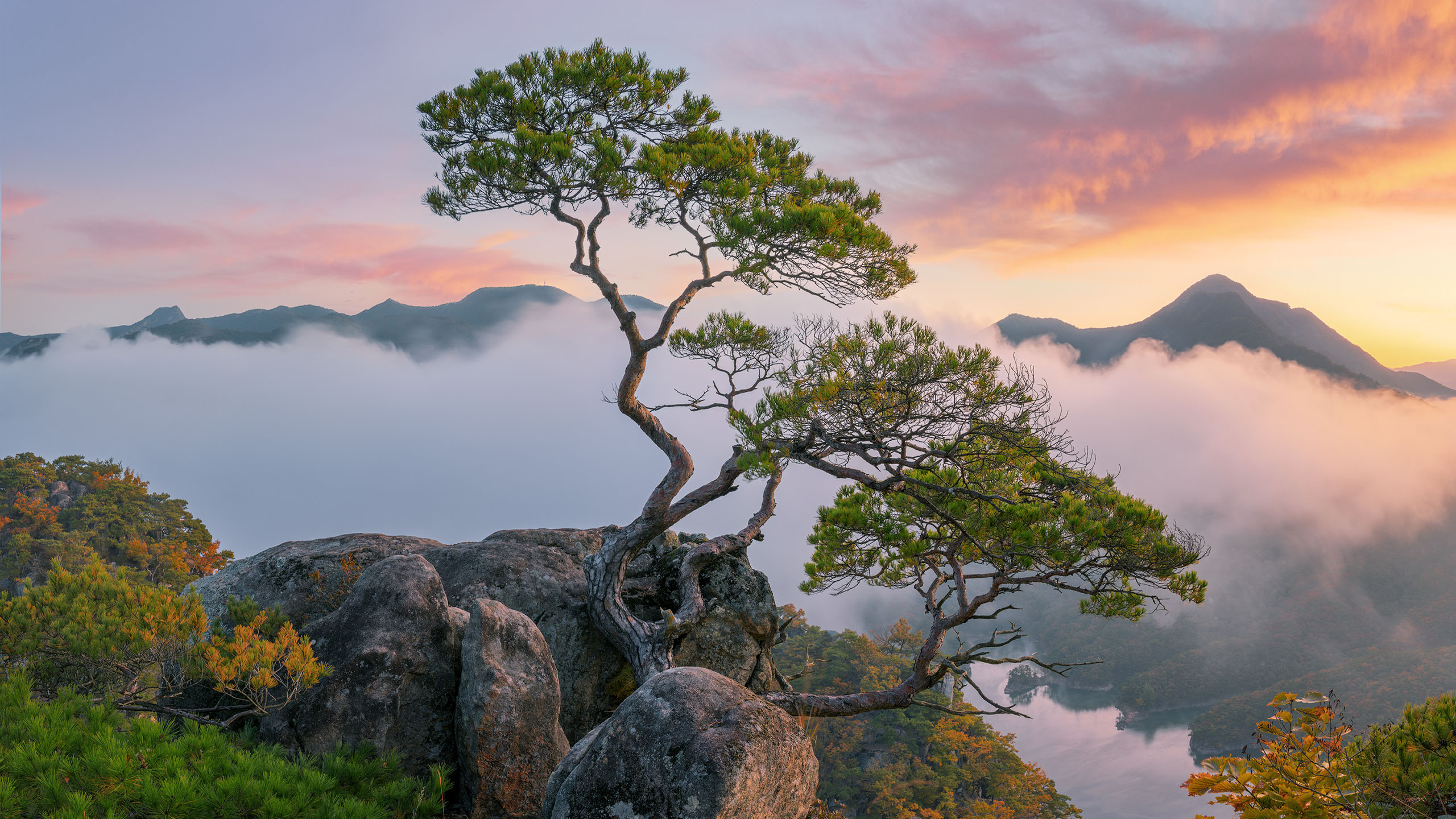 自然风光,山顶,云海,晚霞