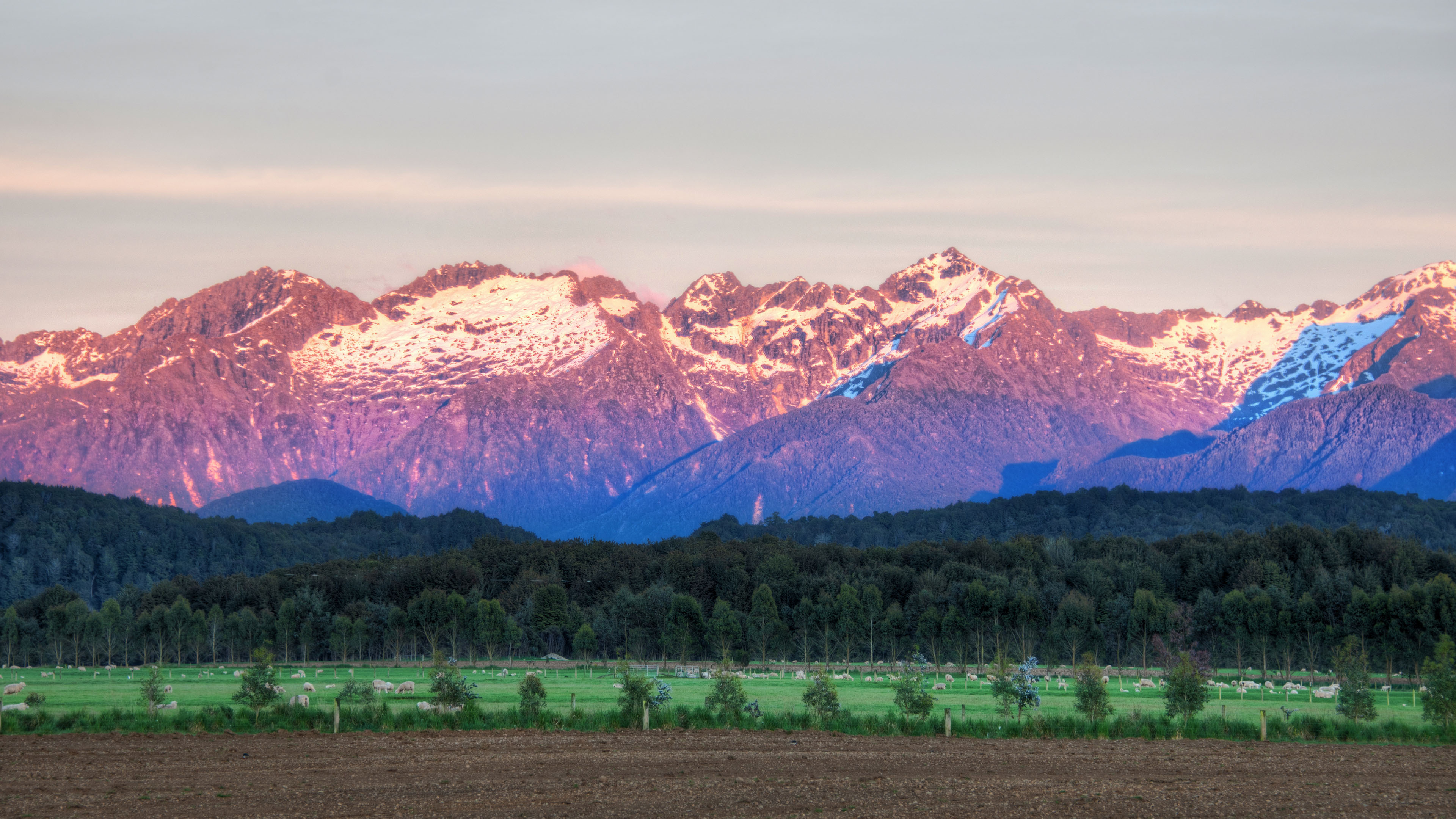 新西兰,雪山,树林,大自然