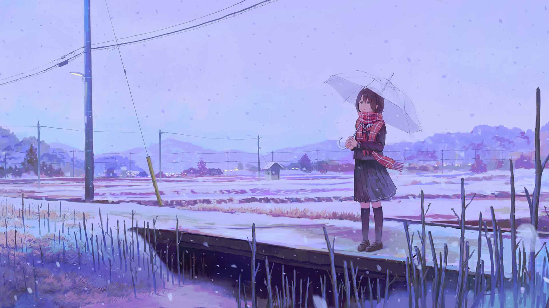 郊外,下雪,电线杆,乡村