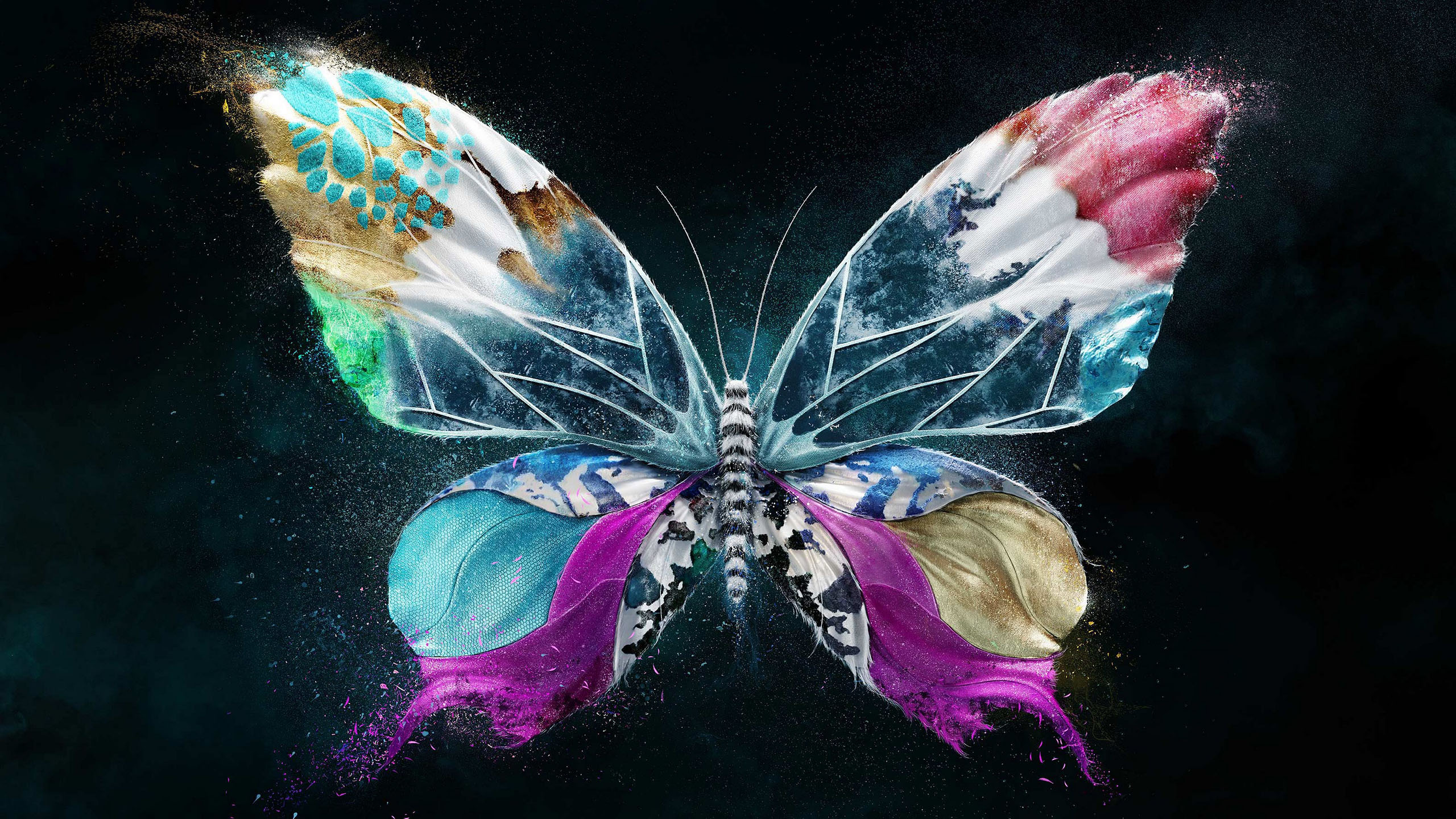 蝴蝶,彩色,彩蝶