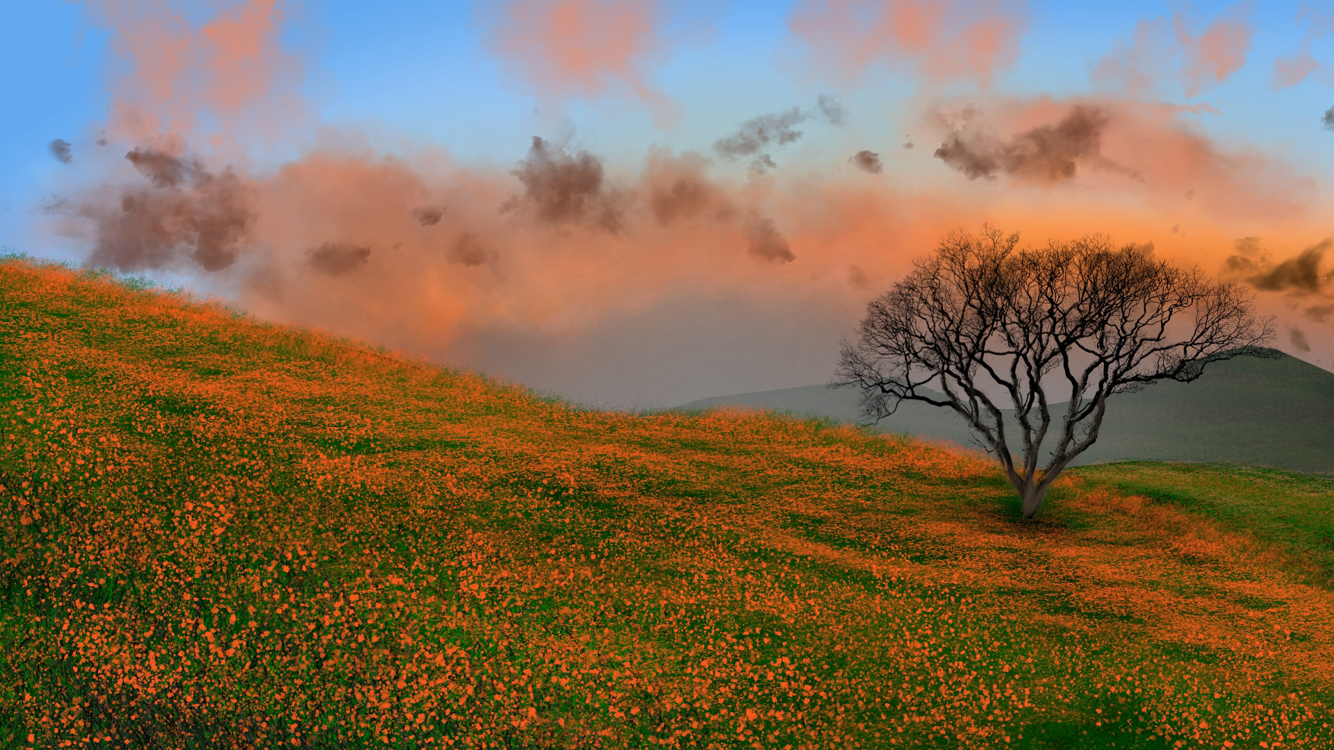 黄昏,山坡,花丛