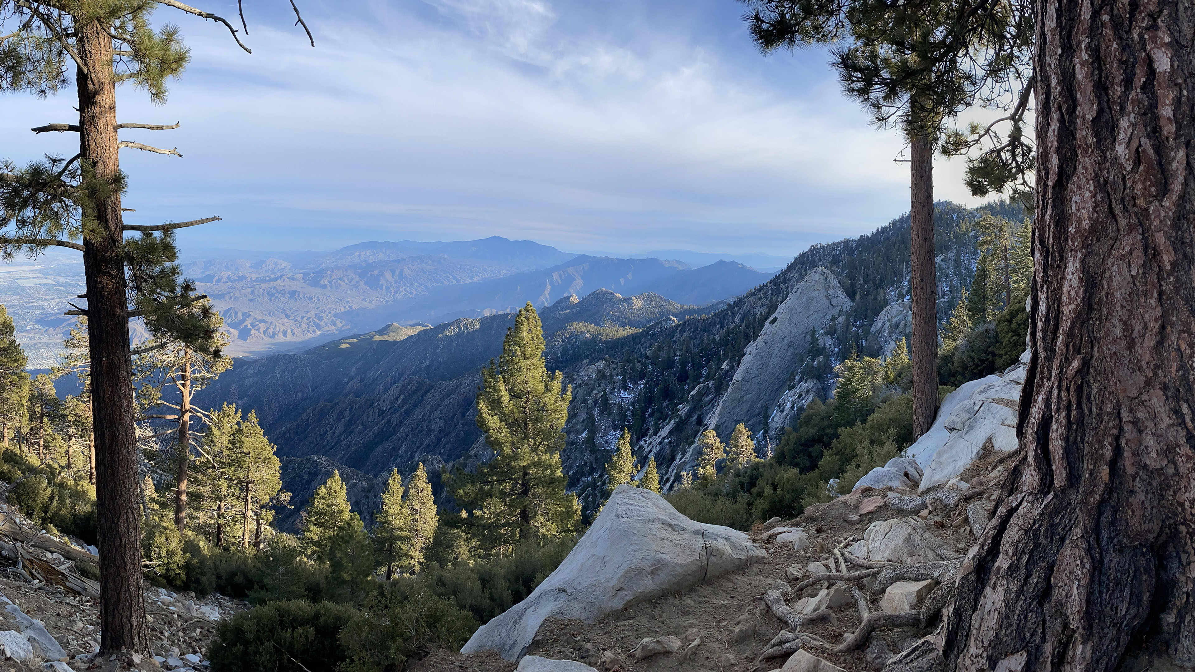 自然风光,山脉,山峰,大树