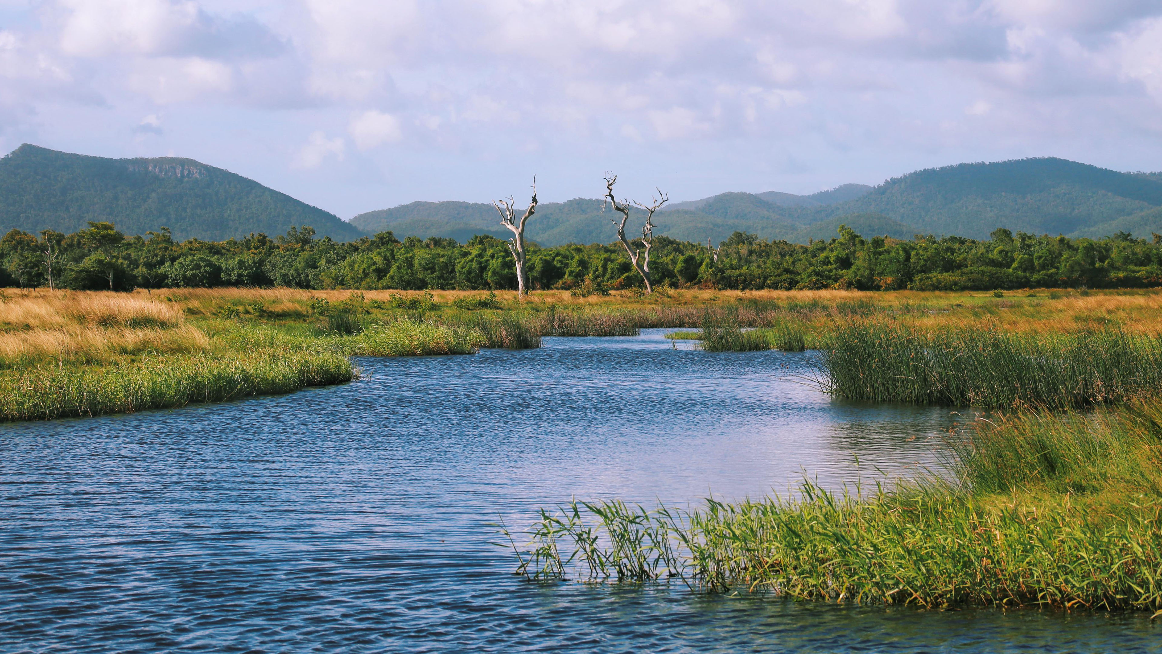 自然风光,沼泽,河流,湿地