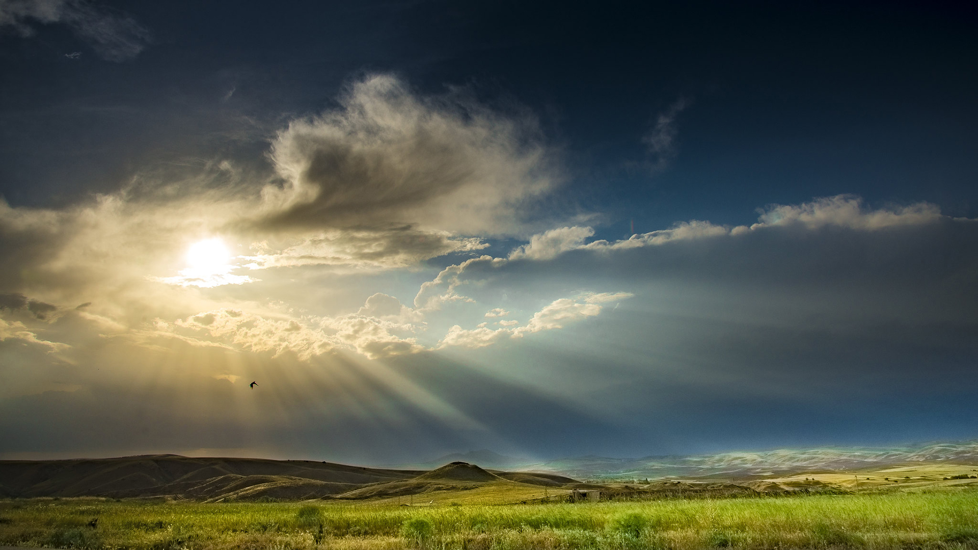 自然风光,阳光,草原,广阔天地