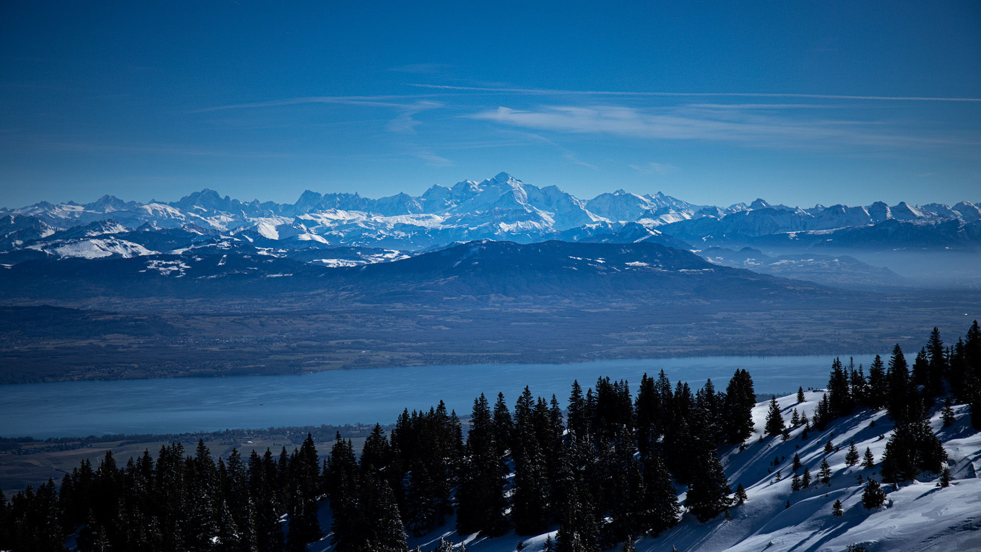 冰天雪地,树林,雪山,山脉