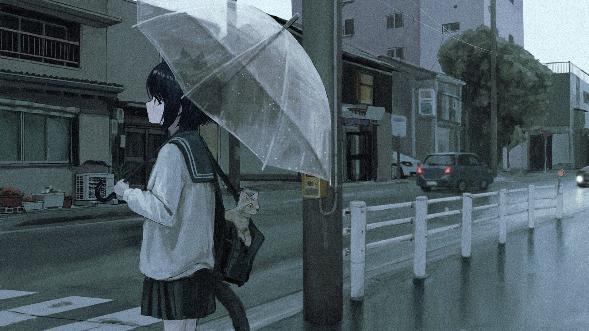 猫女,雨伞,宠物,猫咪,公路,斑马线