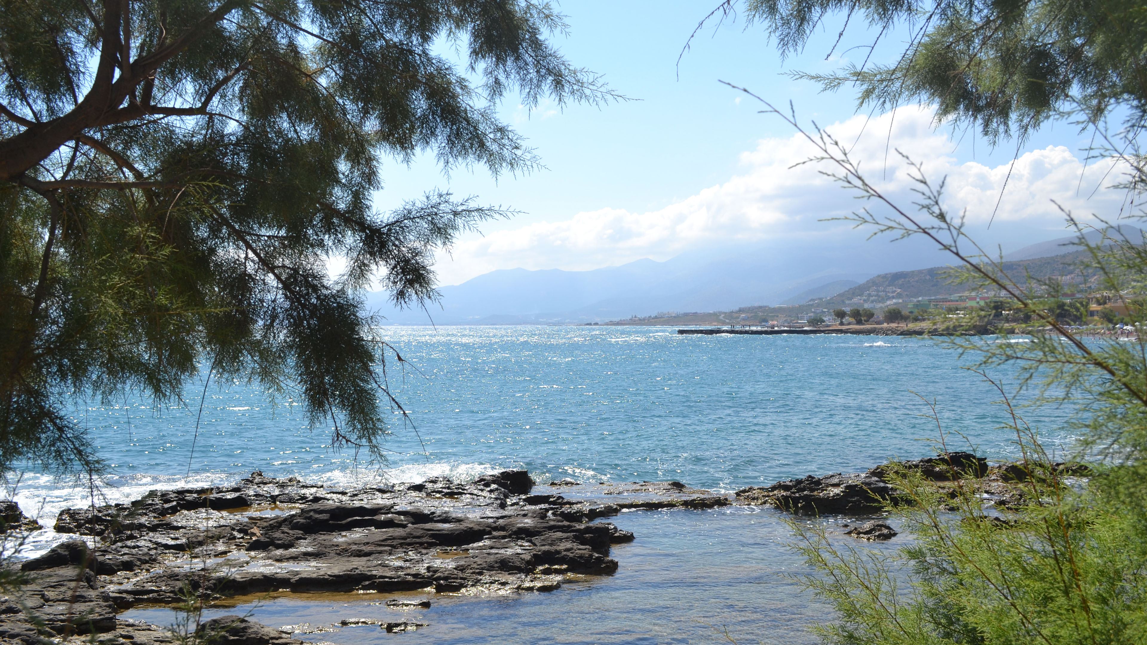 自然风光,湖畔,松树