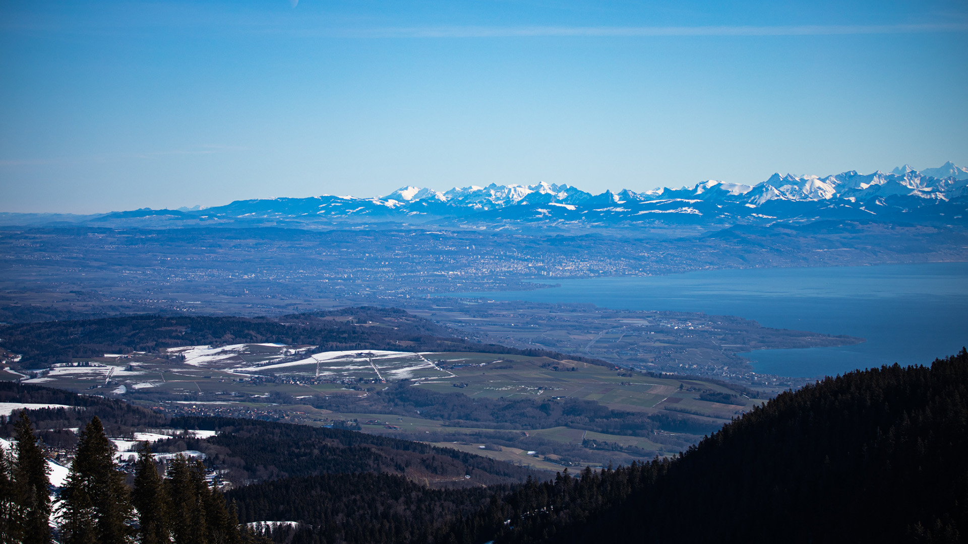 冰天雪地,雪山,高原,树林