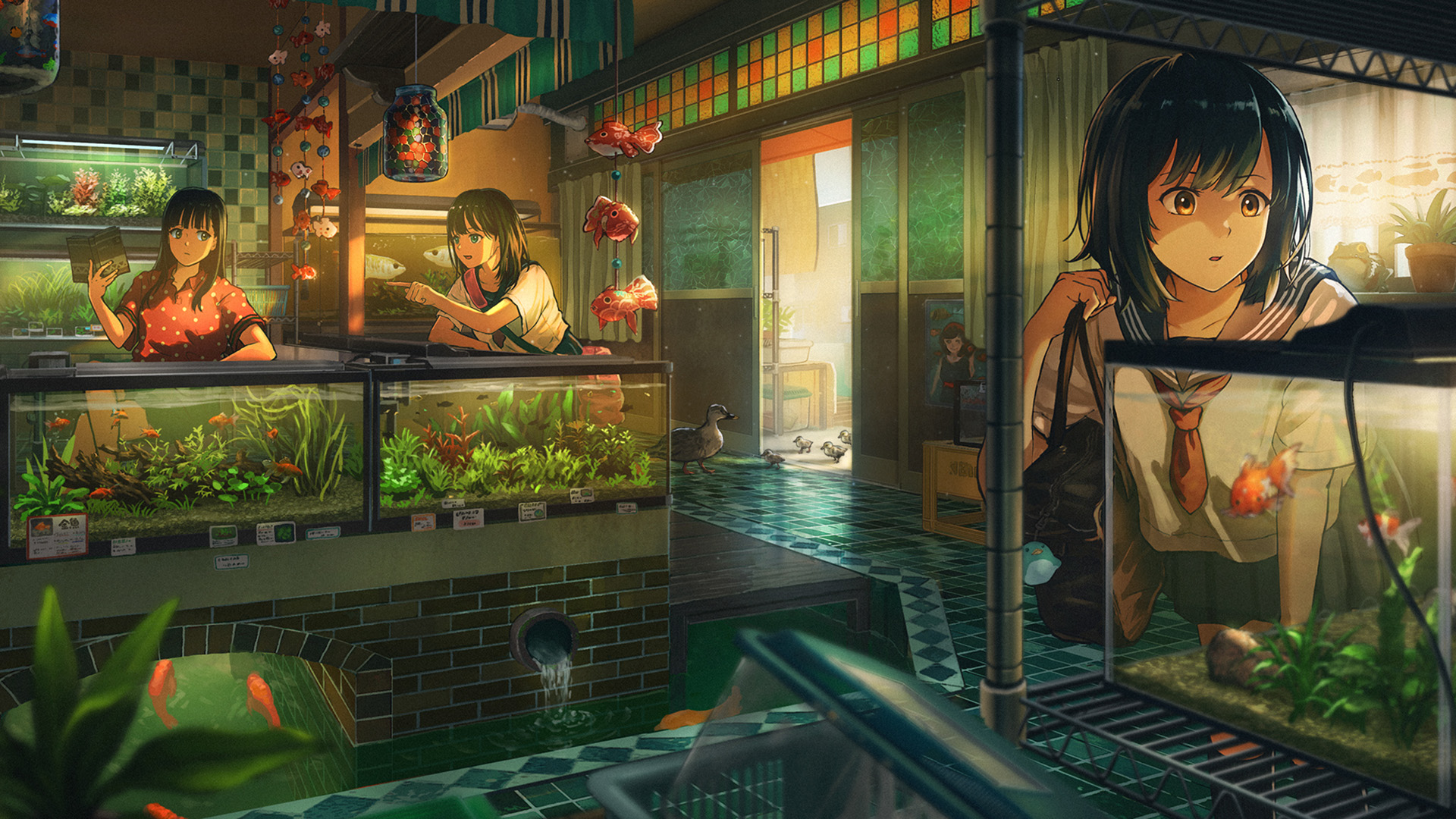 水族馆,金鱼,小丑鱼