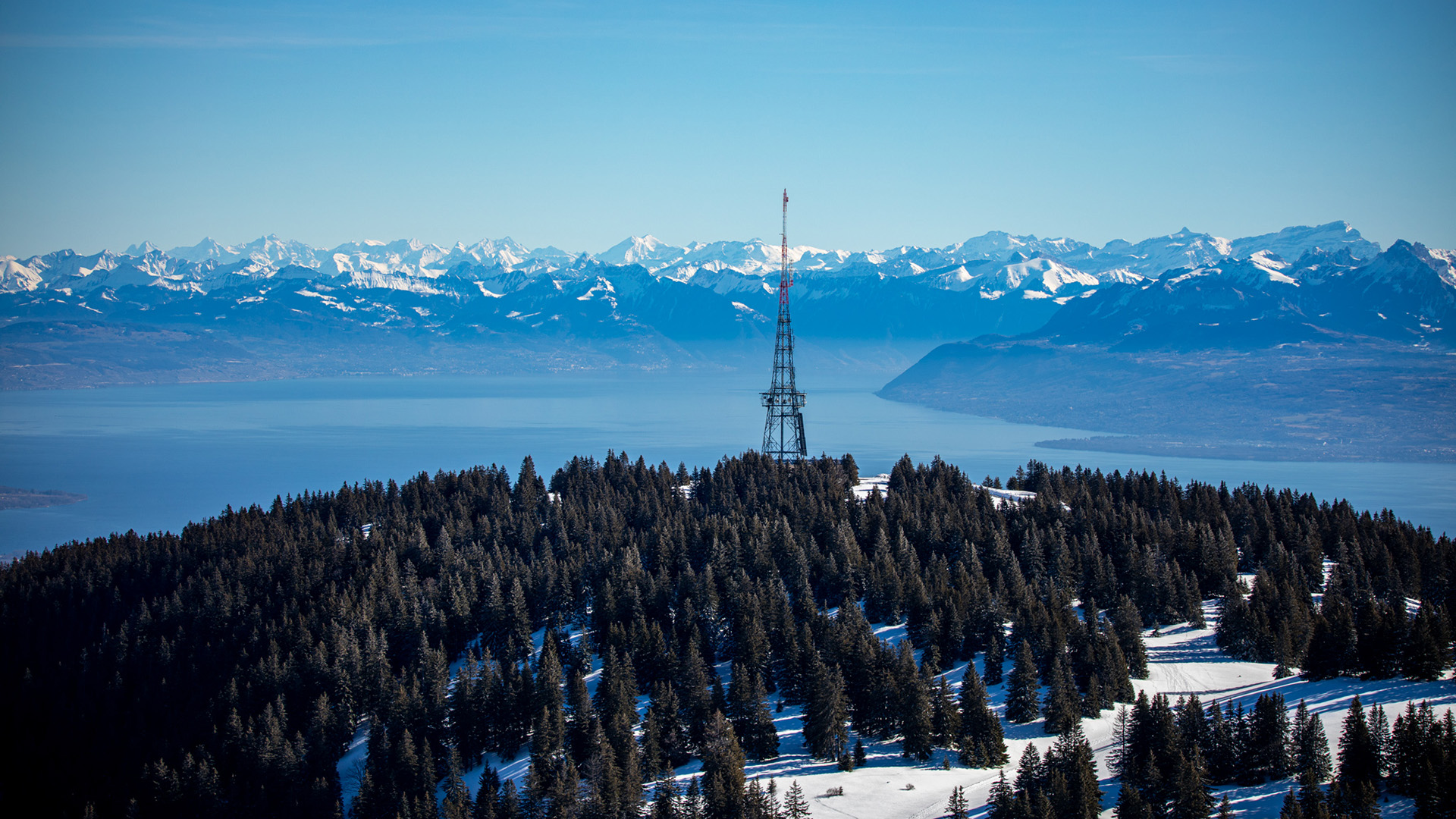 冰天雪地,树林,雪原,铁塔