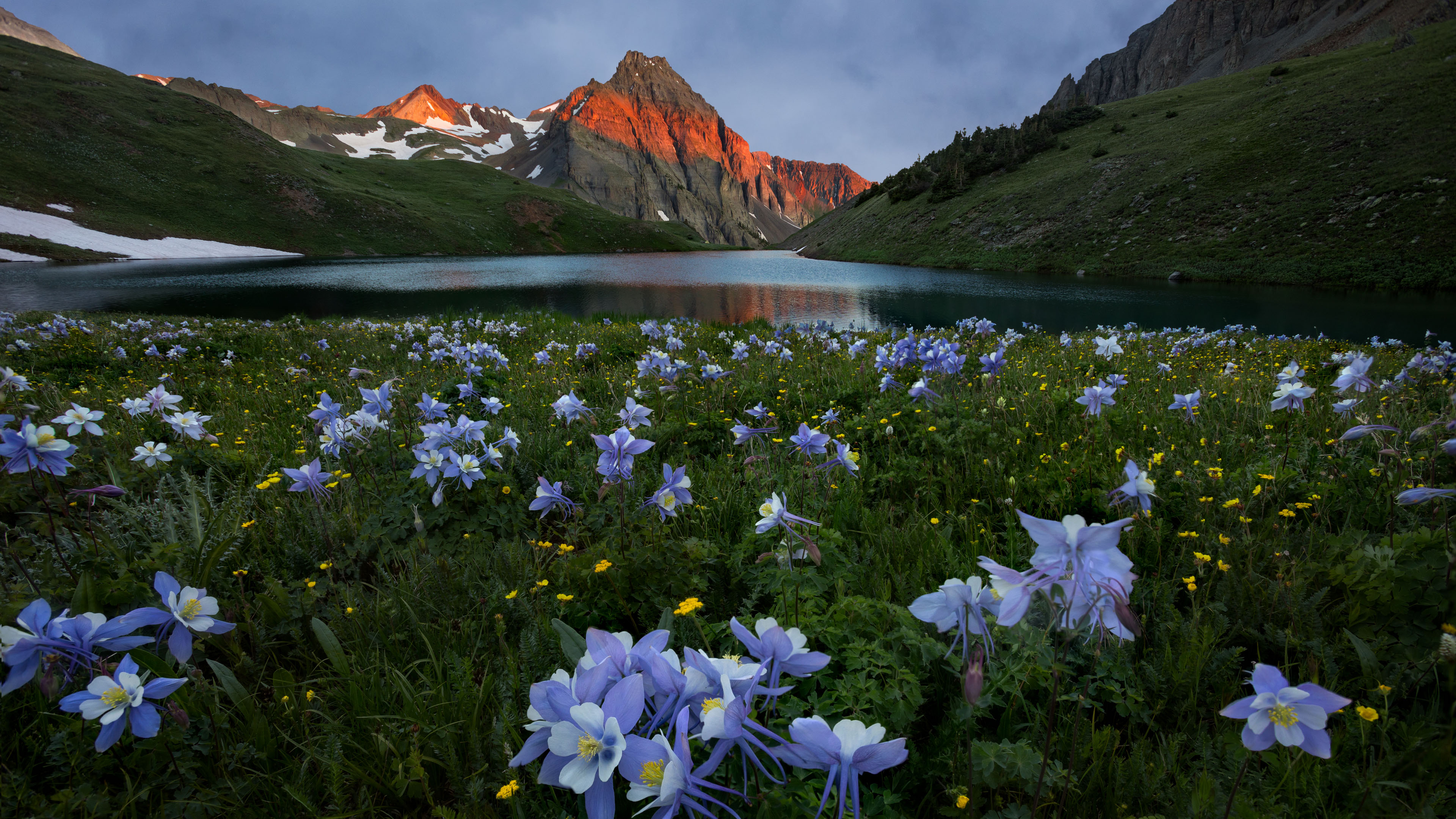 孜然粉光,雪山,花丛,湖水