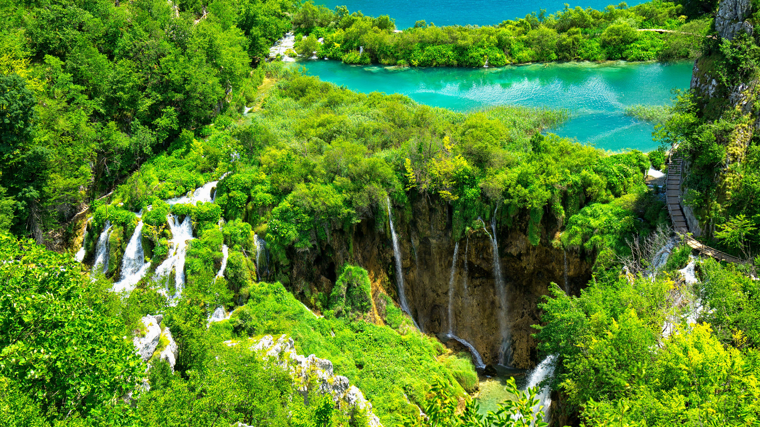 自然风光,湿地公园,树林,瀑布