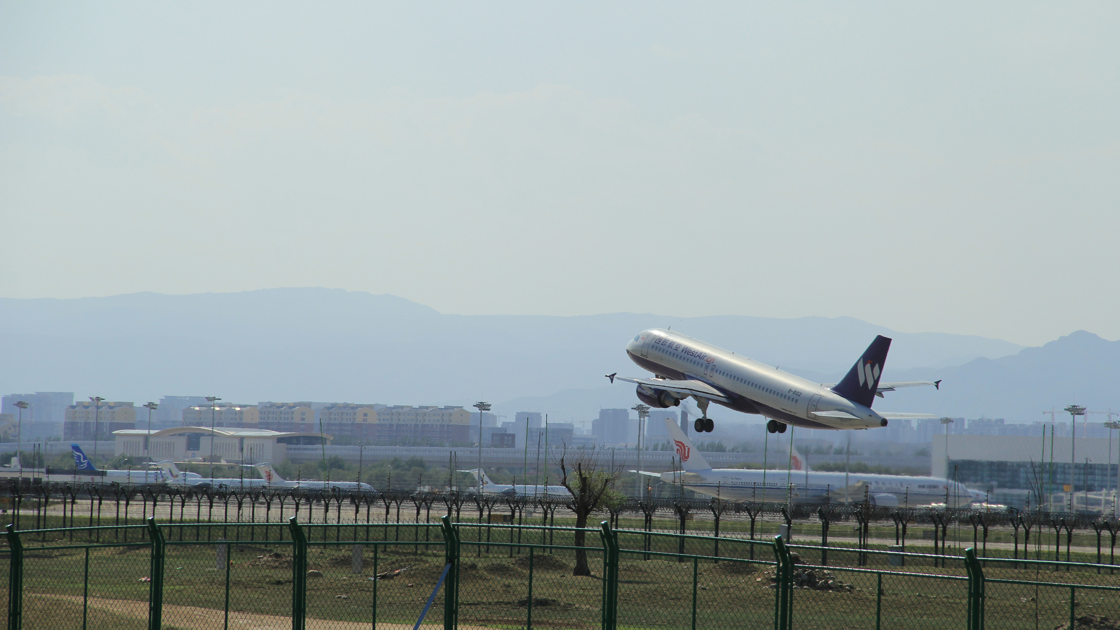 飞机,起飞,飞机场,出发