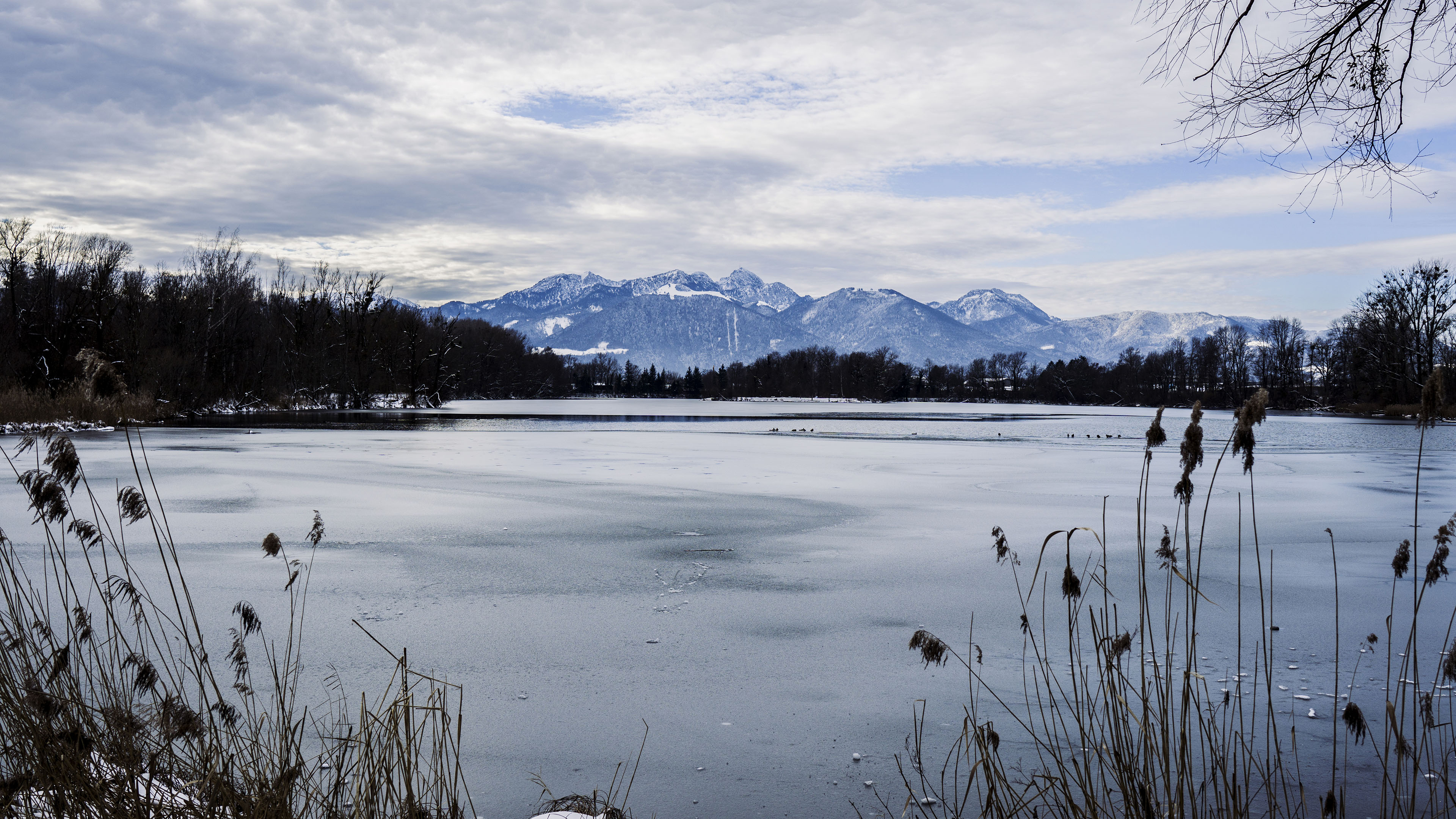 冰天雪地,江面,雪山