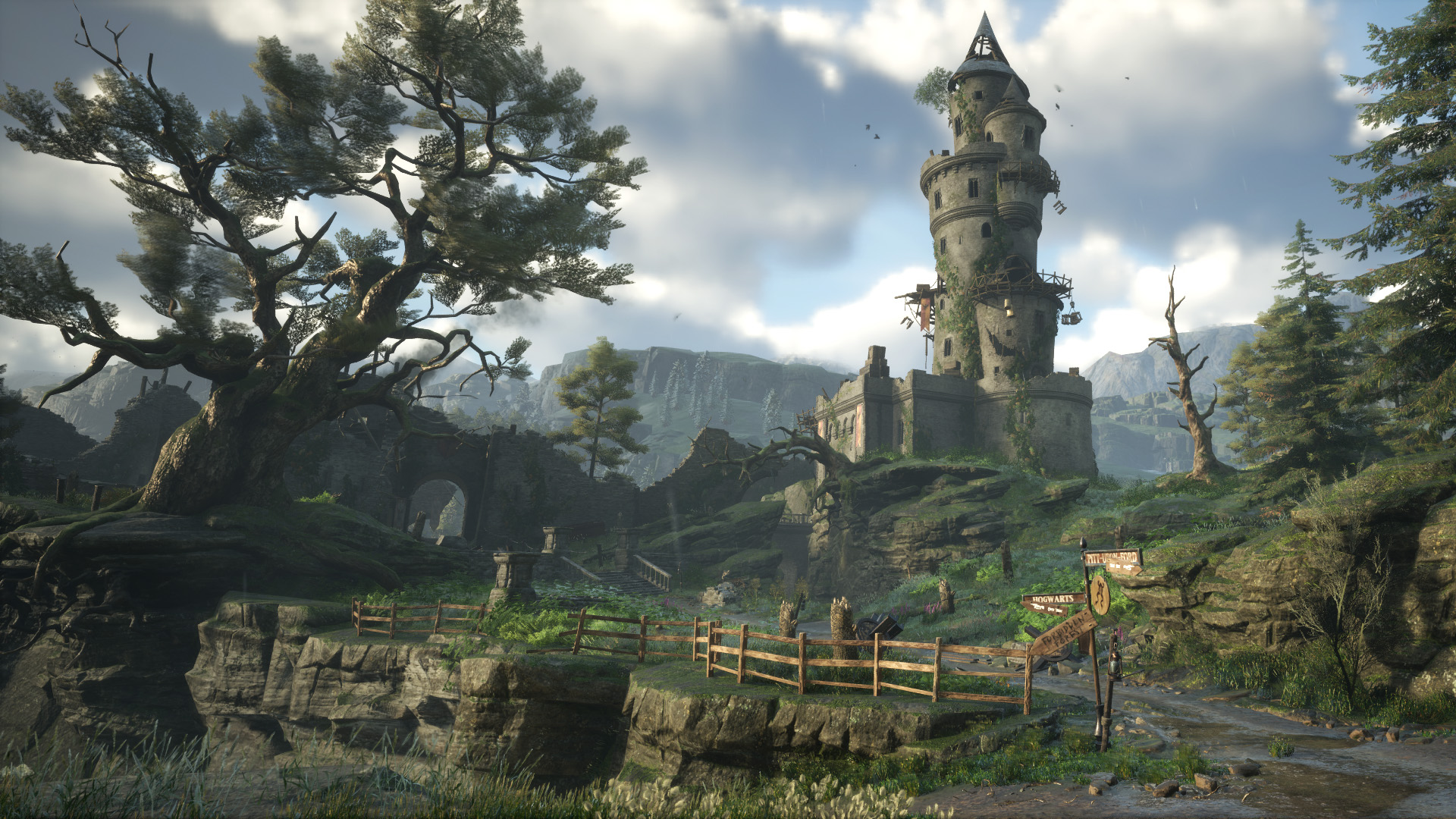 主机游戏,城堡,松树,森林