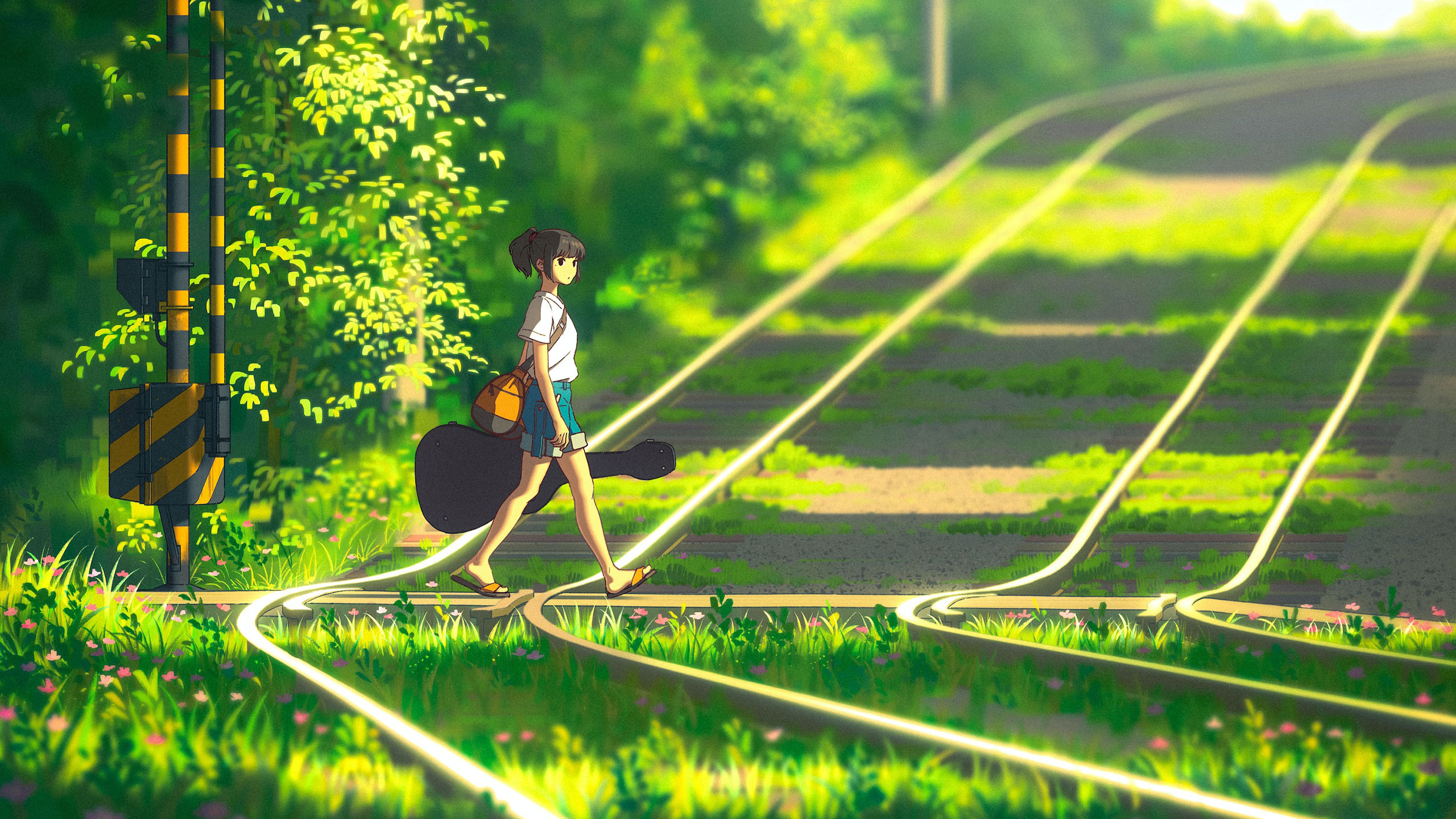 铁轨,树荫,吉他,青青小草