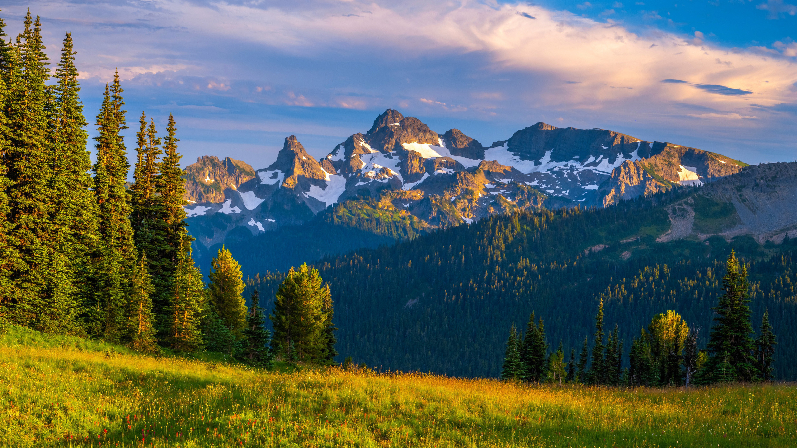 雪山,山峰,草地,树林