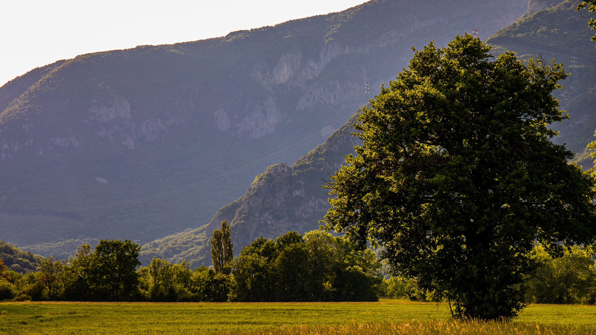 秋意正浓,草坪,树木,山脚