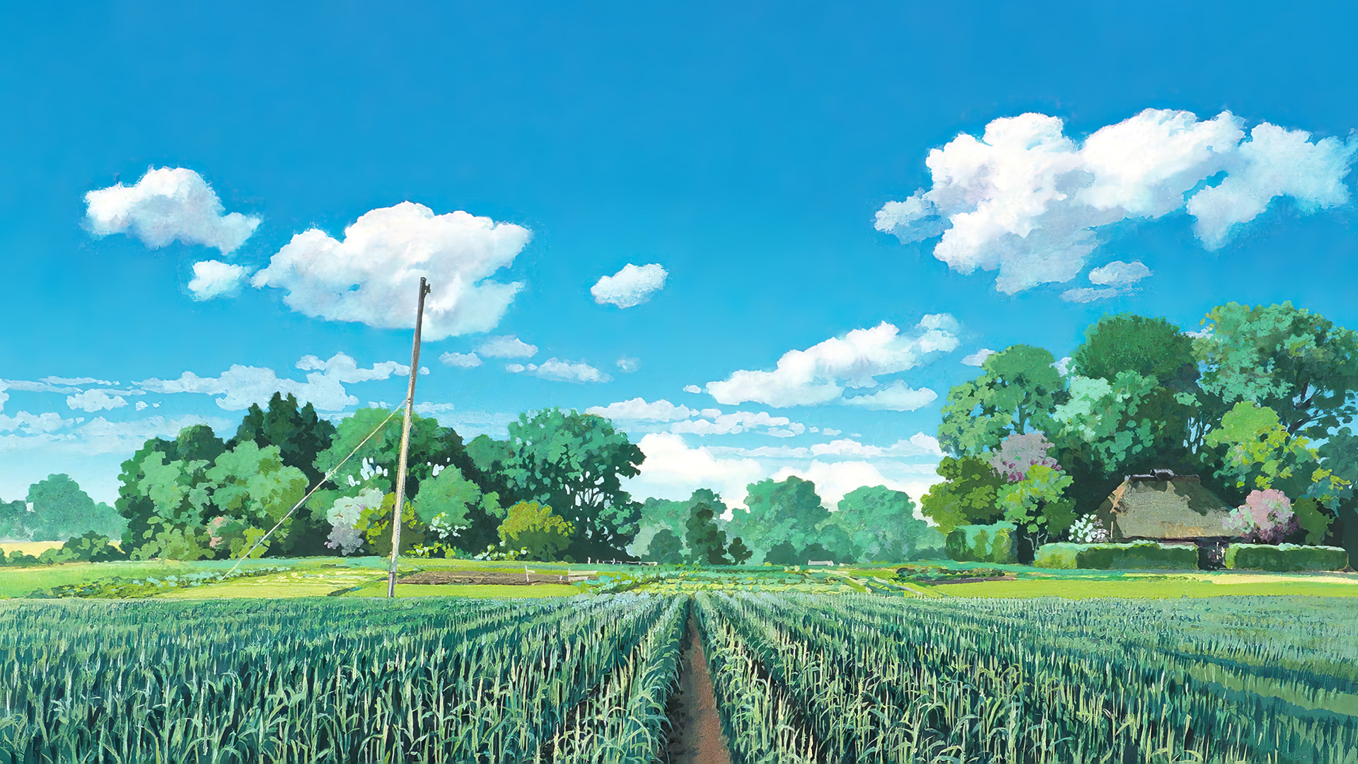 农田,白云,郊外,温馨