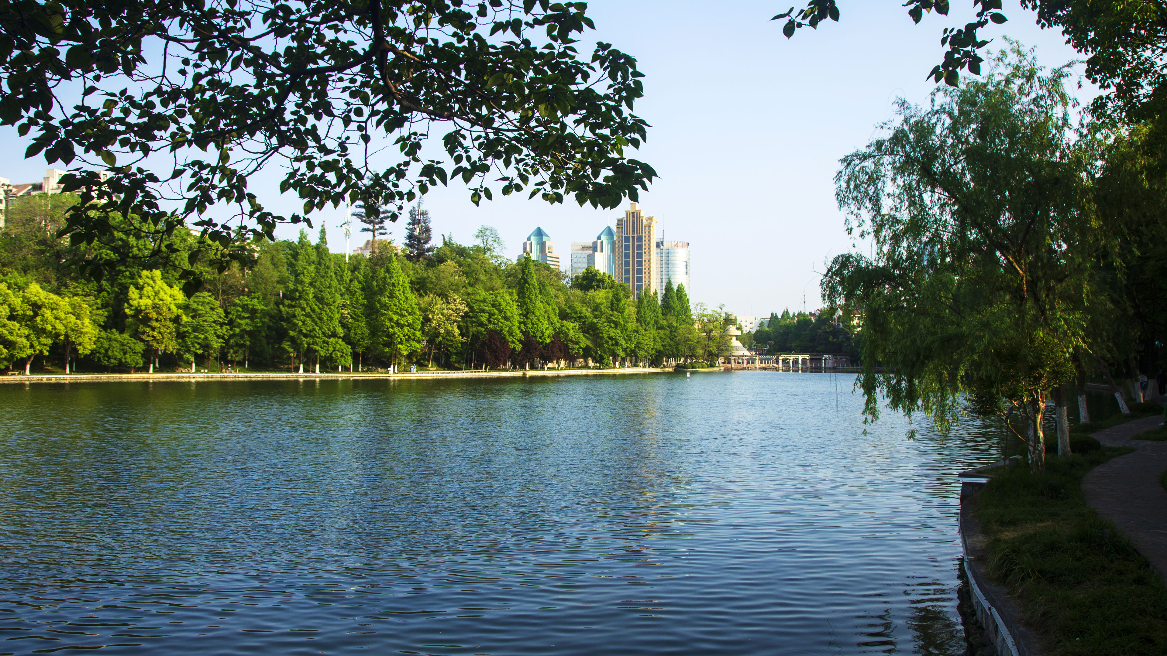 城市,公园,河,高楼,树荫