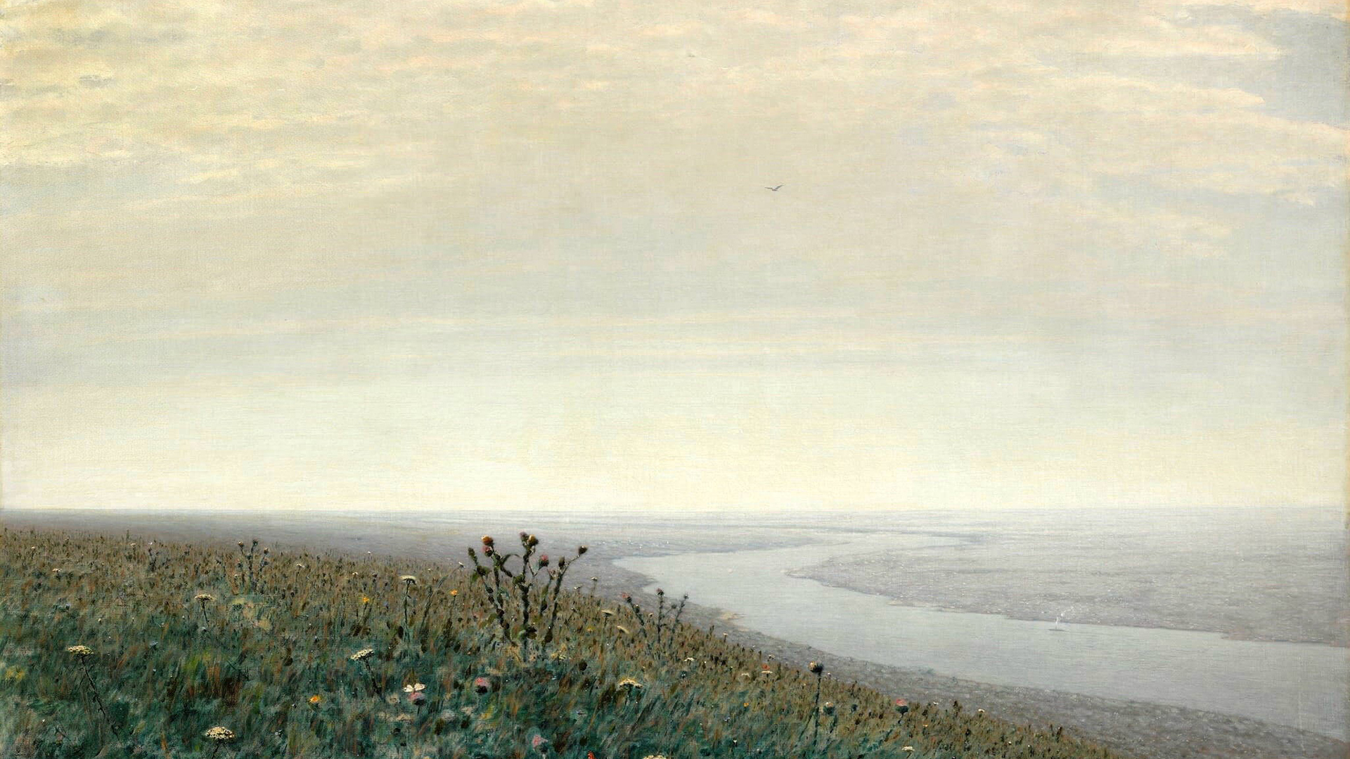 江水,花丛,茫茫江面,雾蒙蒙