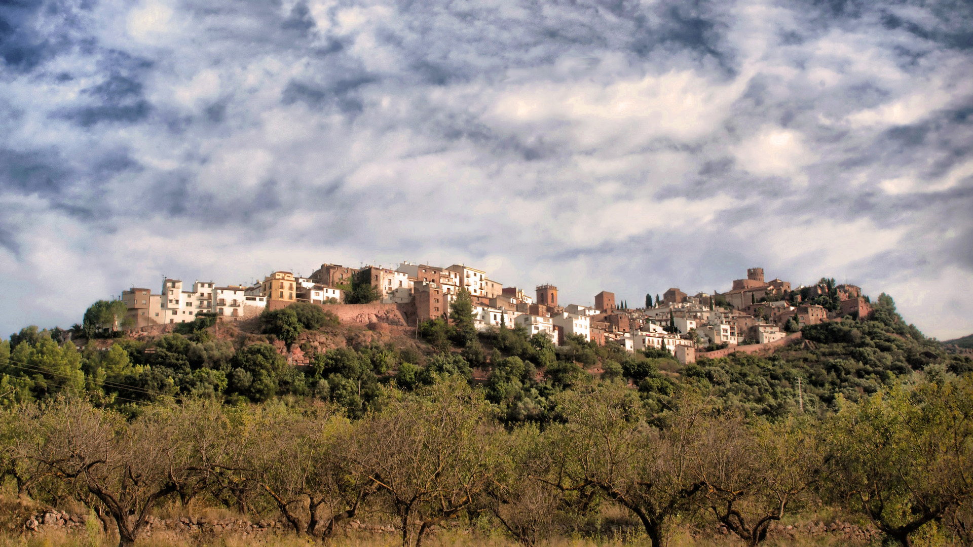 自然风光,,村庄,树林