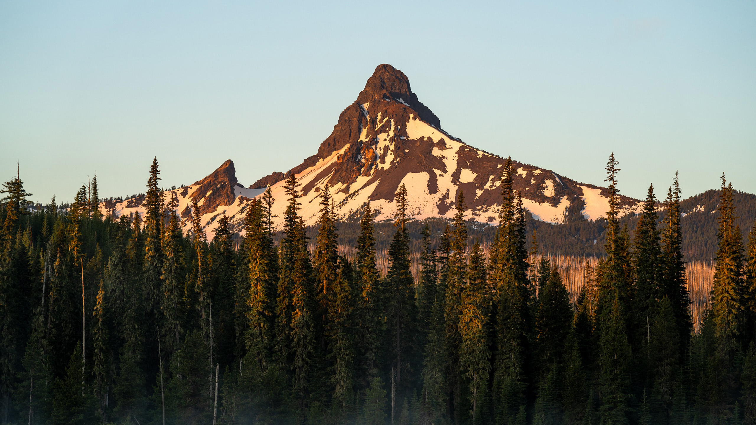 自然风光,山峰,树林