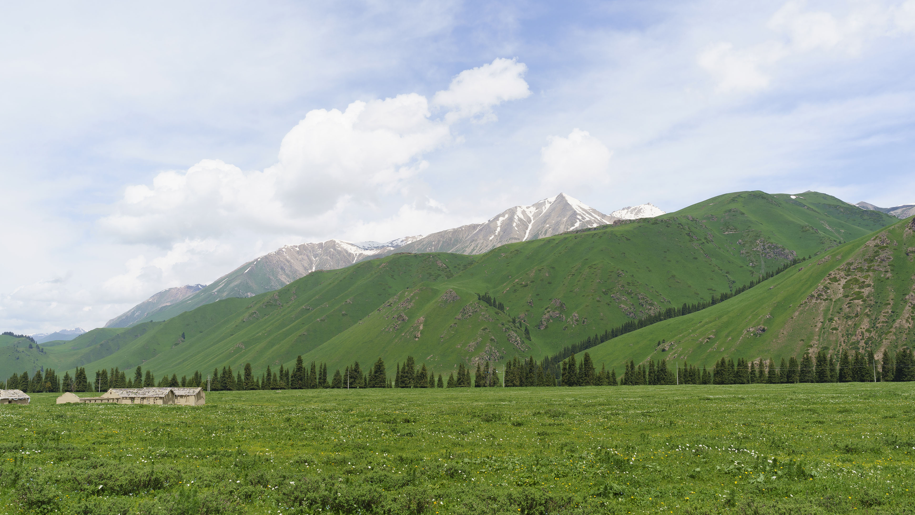 蓝天白云,草地,树林,山坡