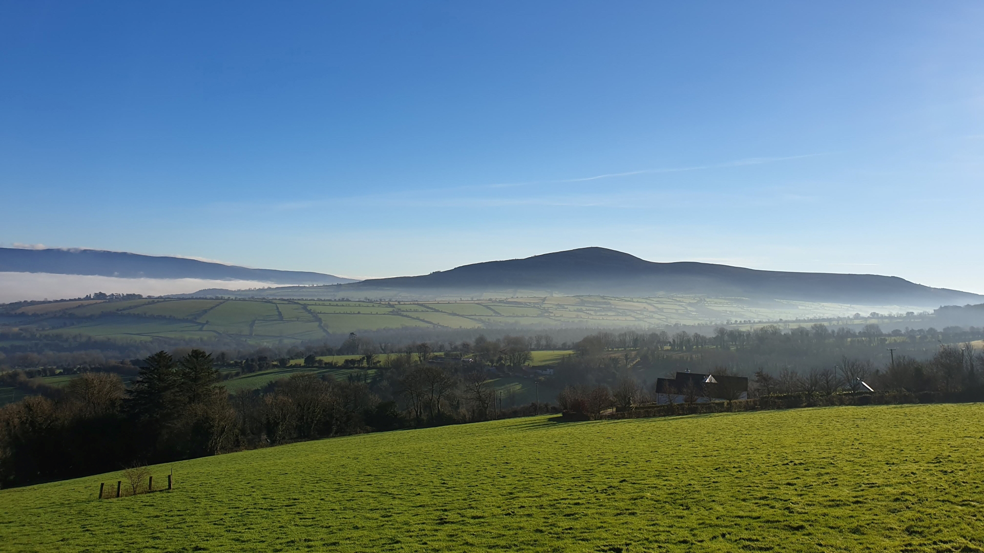 自然风光,树林,原野,雾,蓝天