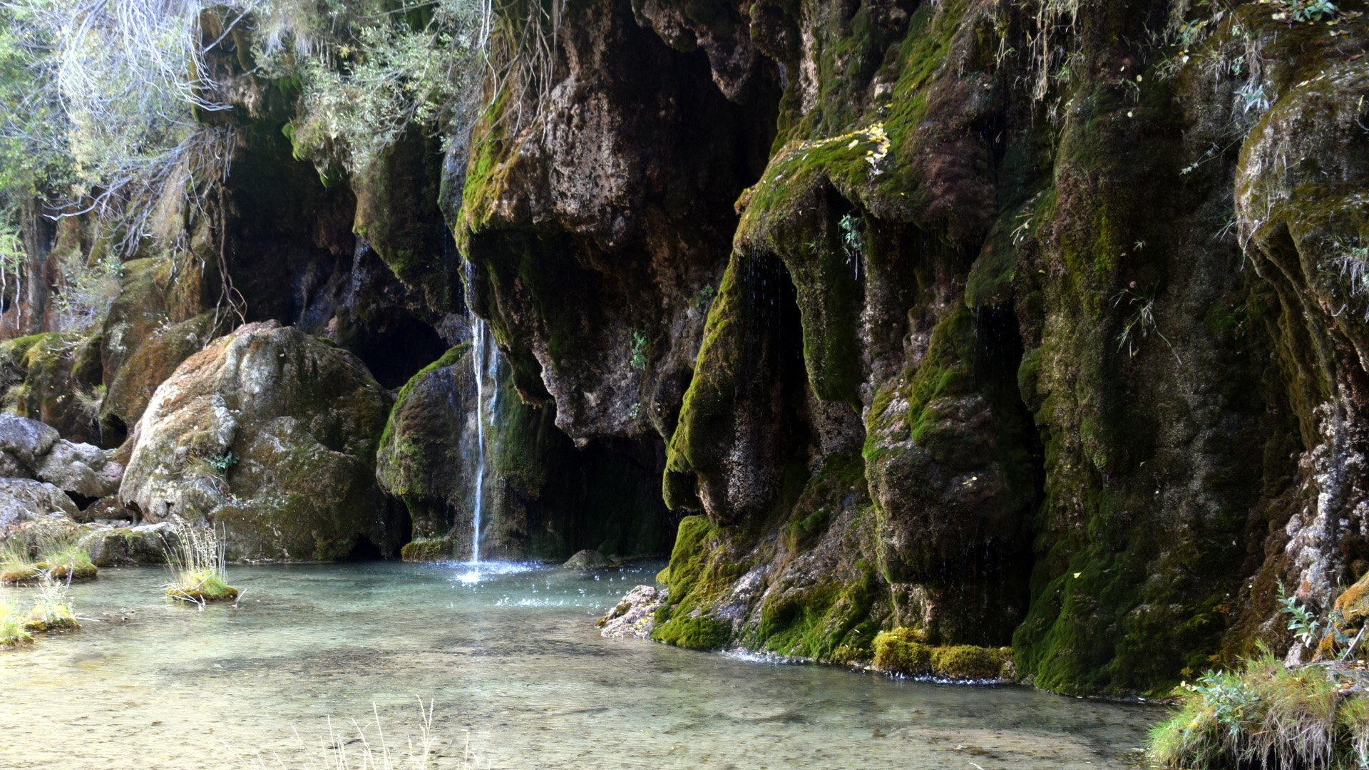 自然风光,水潭,青苔,流水