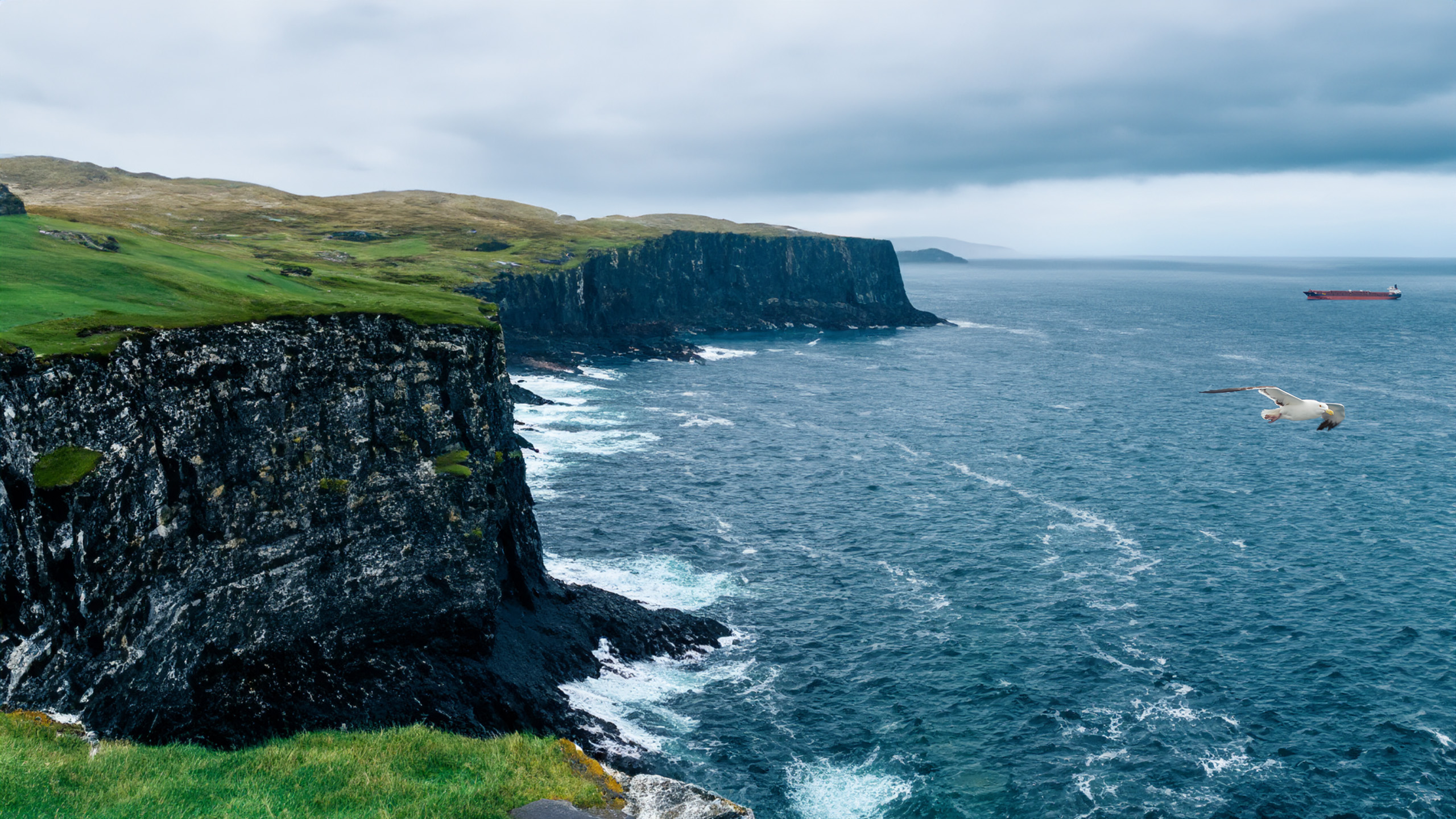 海洋天堂,悬崖,海浪,海鸥,一望无际