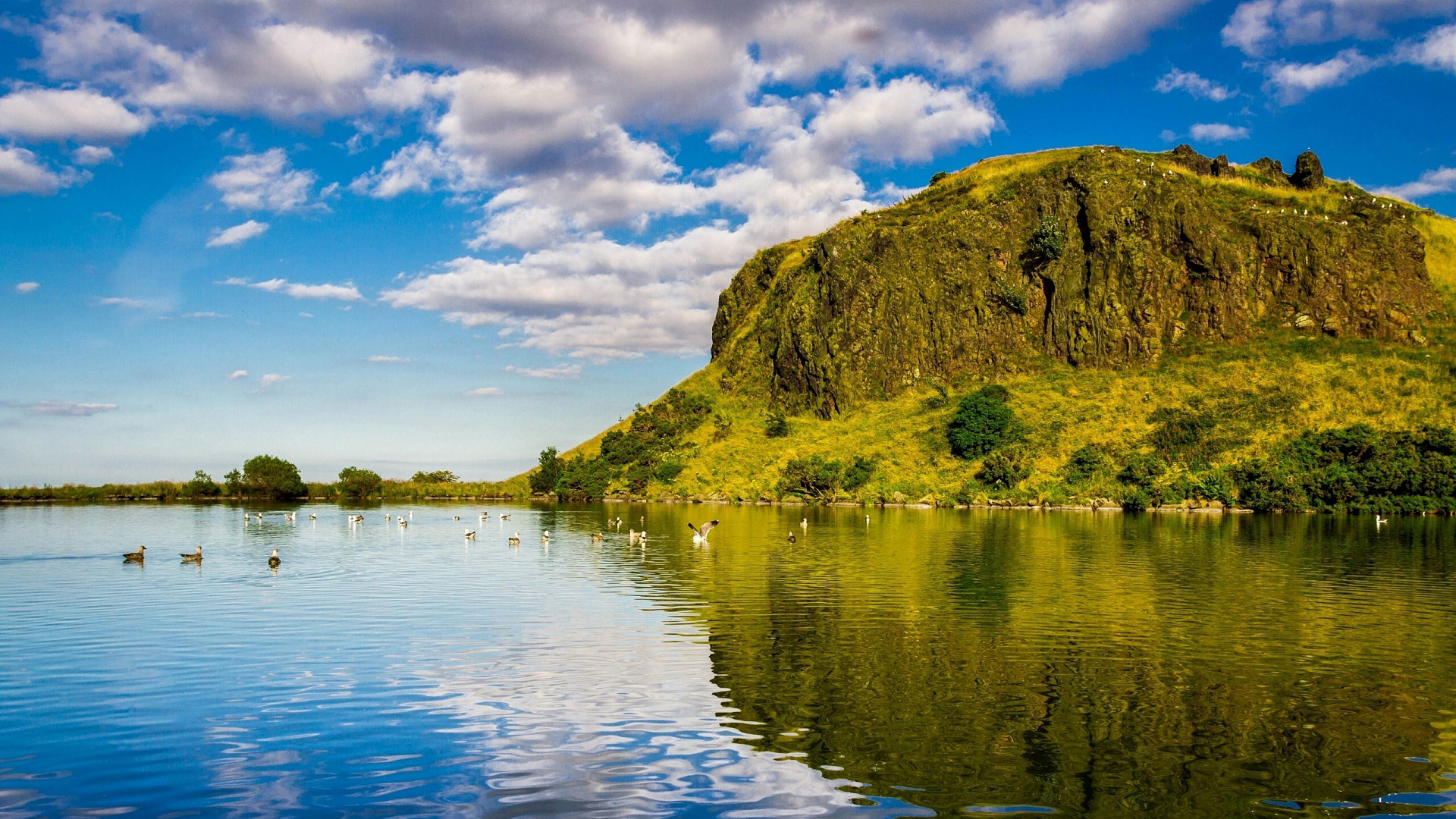 自然风光,白云,鹅,山丘