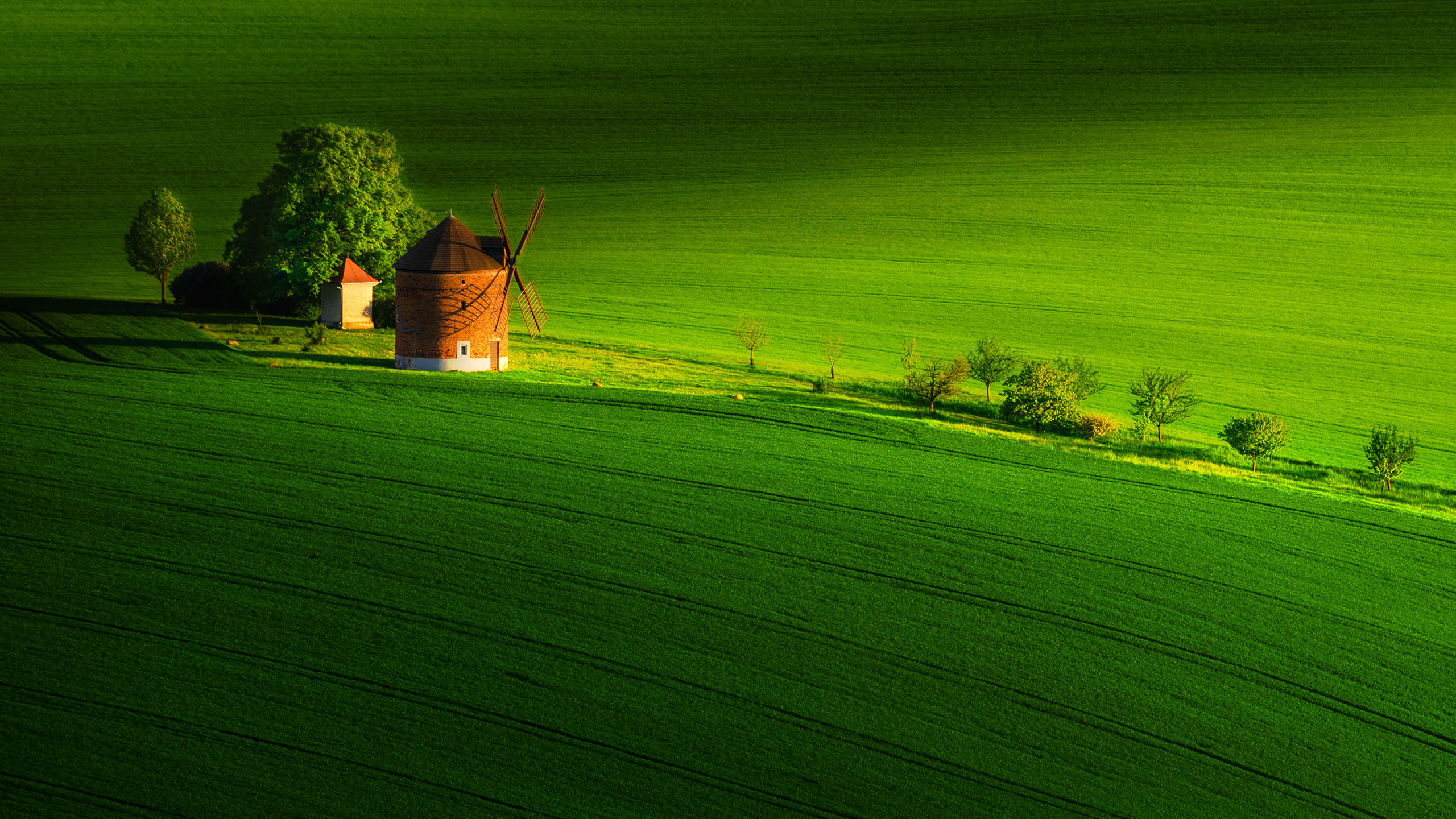 自然风光,草原,山坡,草地