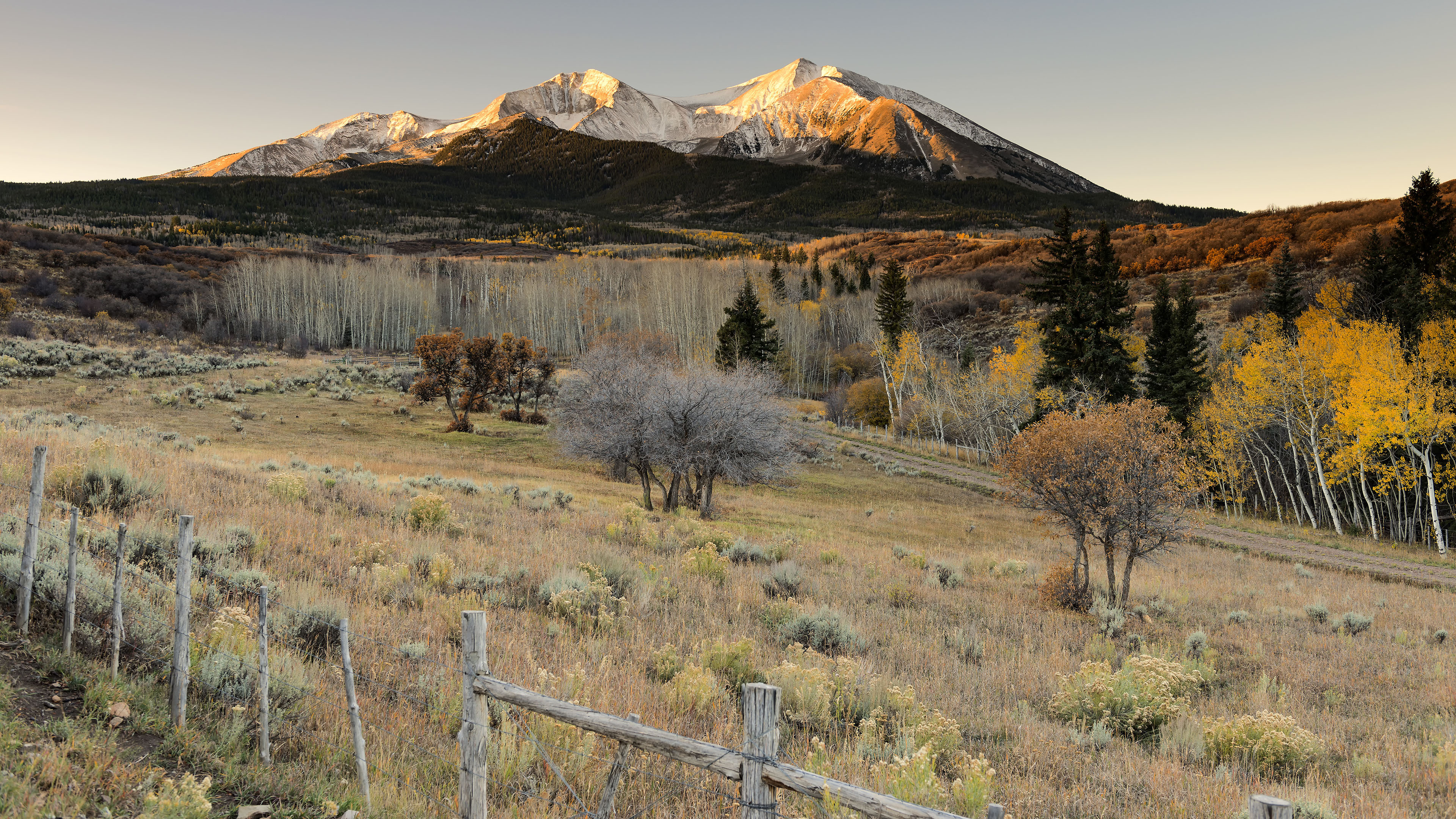 雪山,庄园,树林