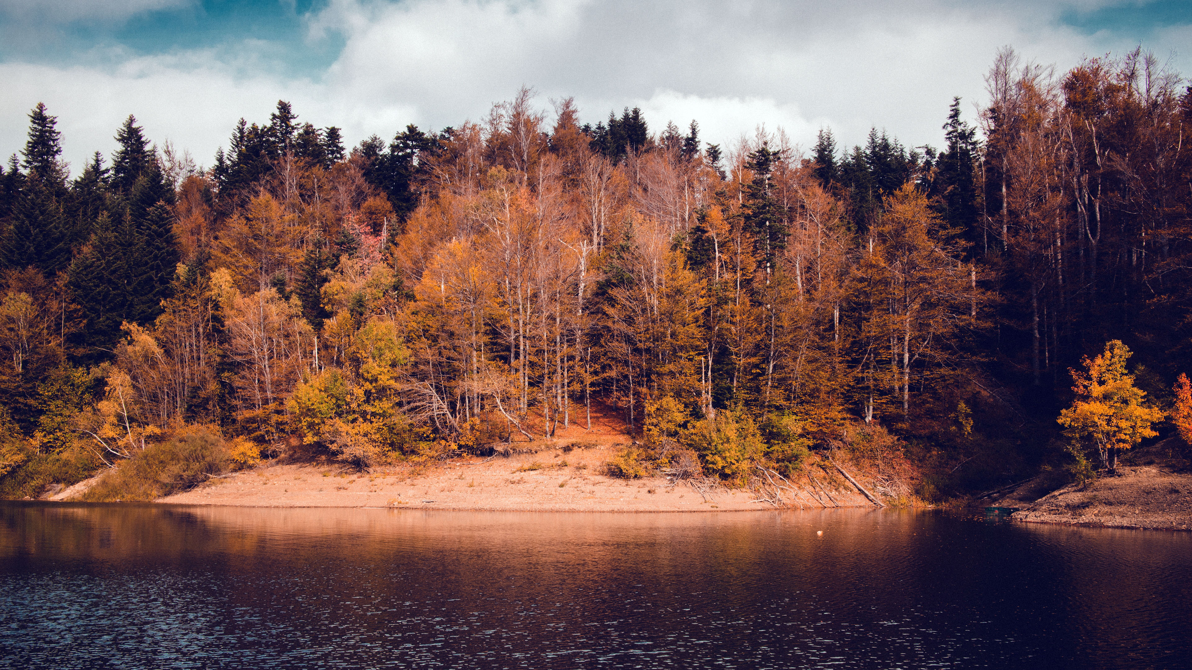 秋意正浓,树林,湖畔