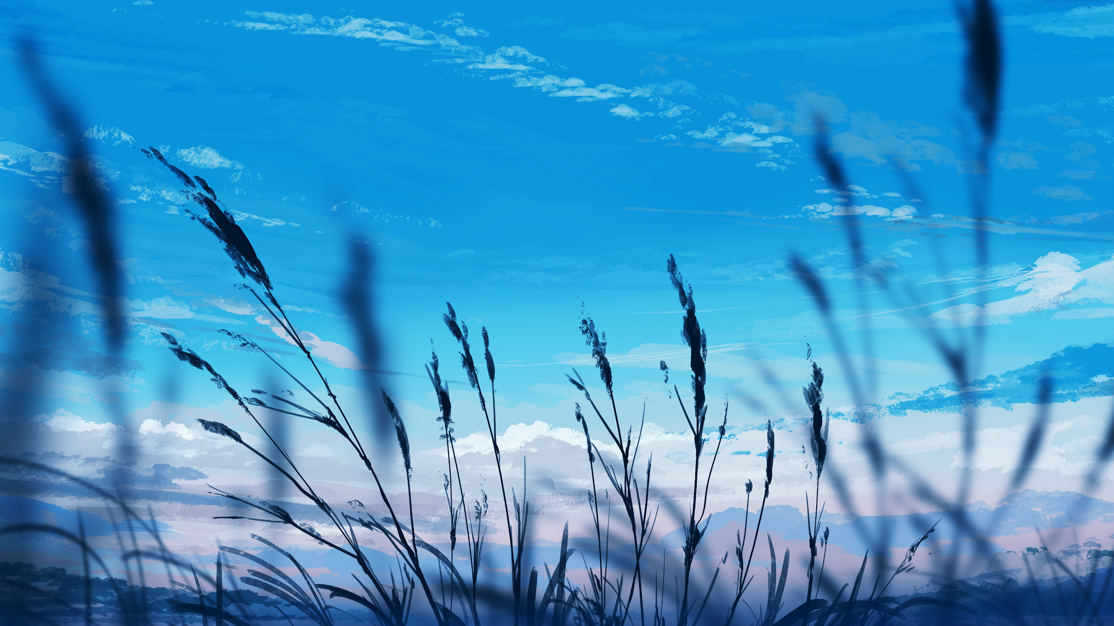 芦苇,苍天,草原