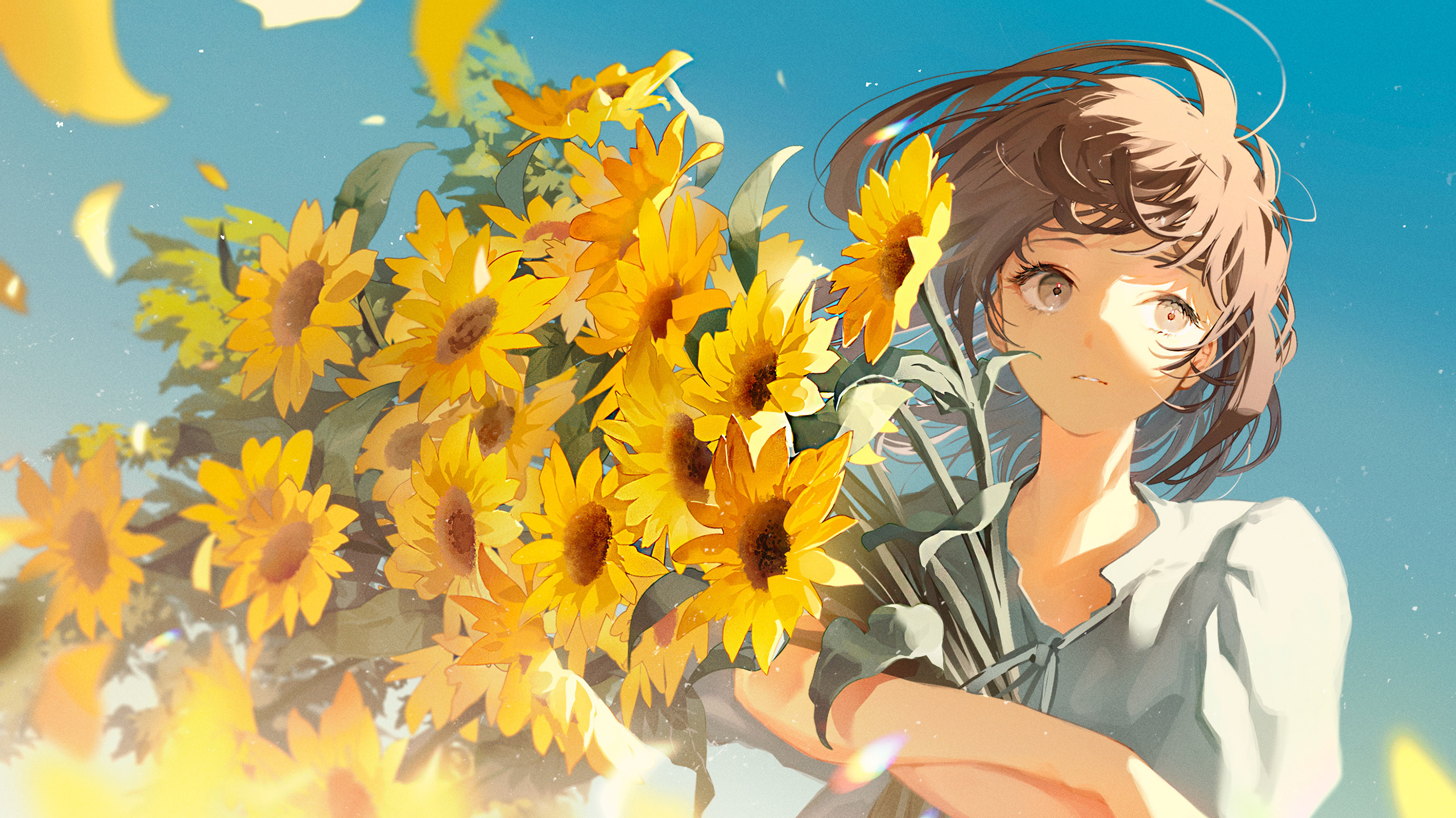 菊花,向日葵,女孩