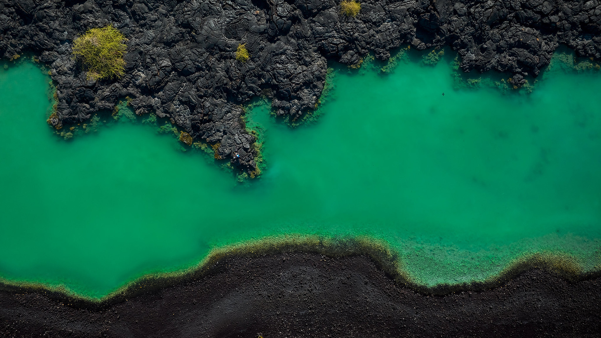 海洋天堂,海滩,海岸