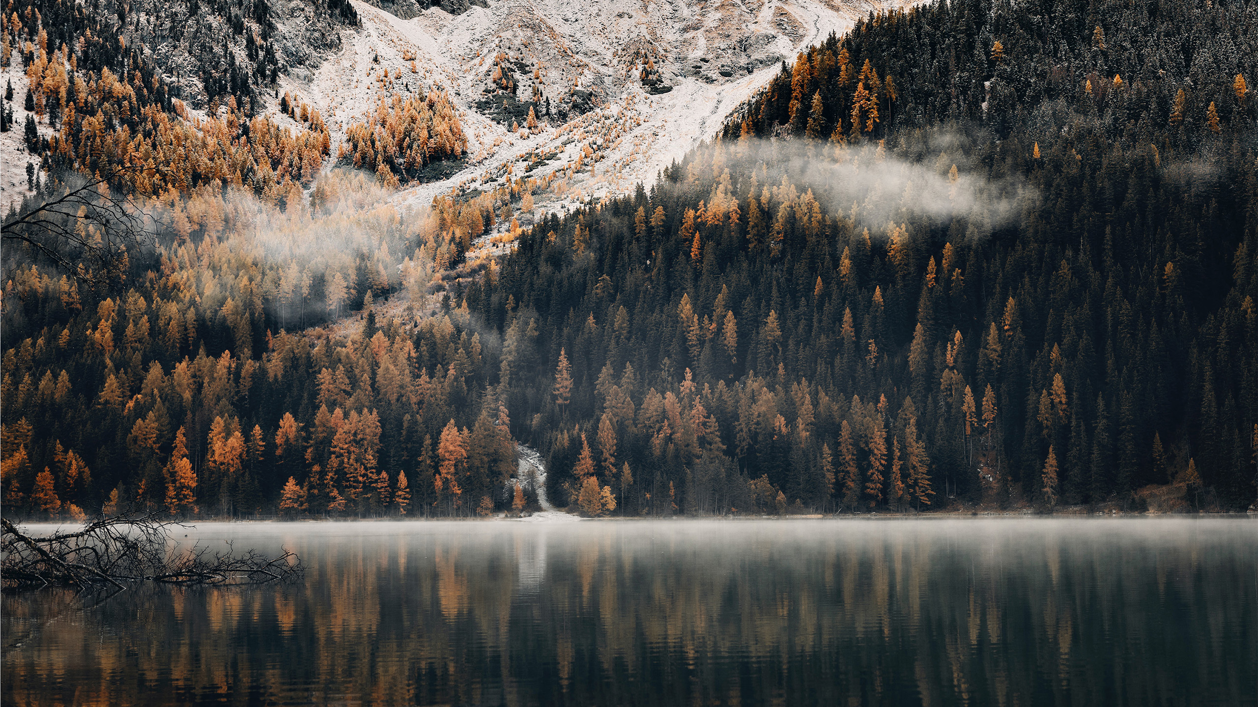 秋意正浓,湖畔,树林,雾