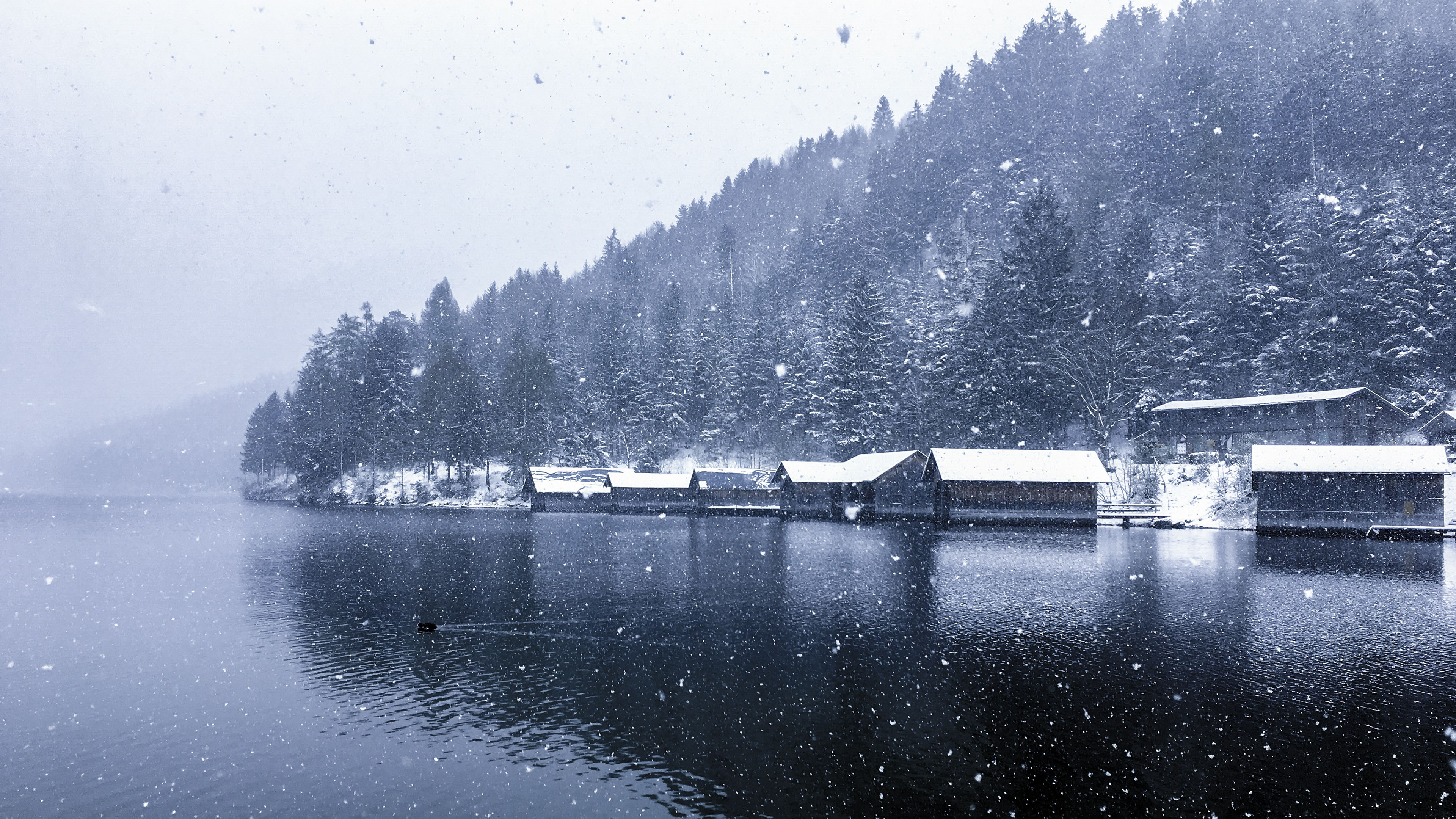 冰天雪地,大雪,小镇,村庄