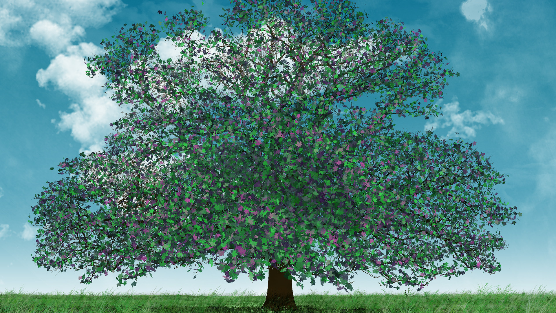 一棵树,天空,治愈,白云,草地